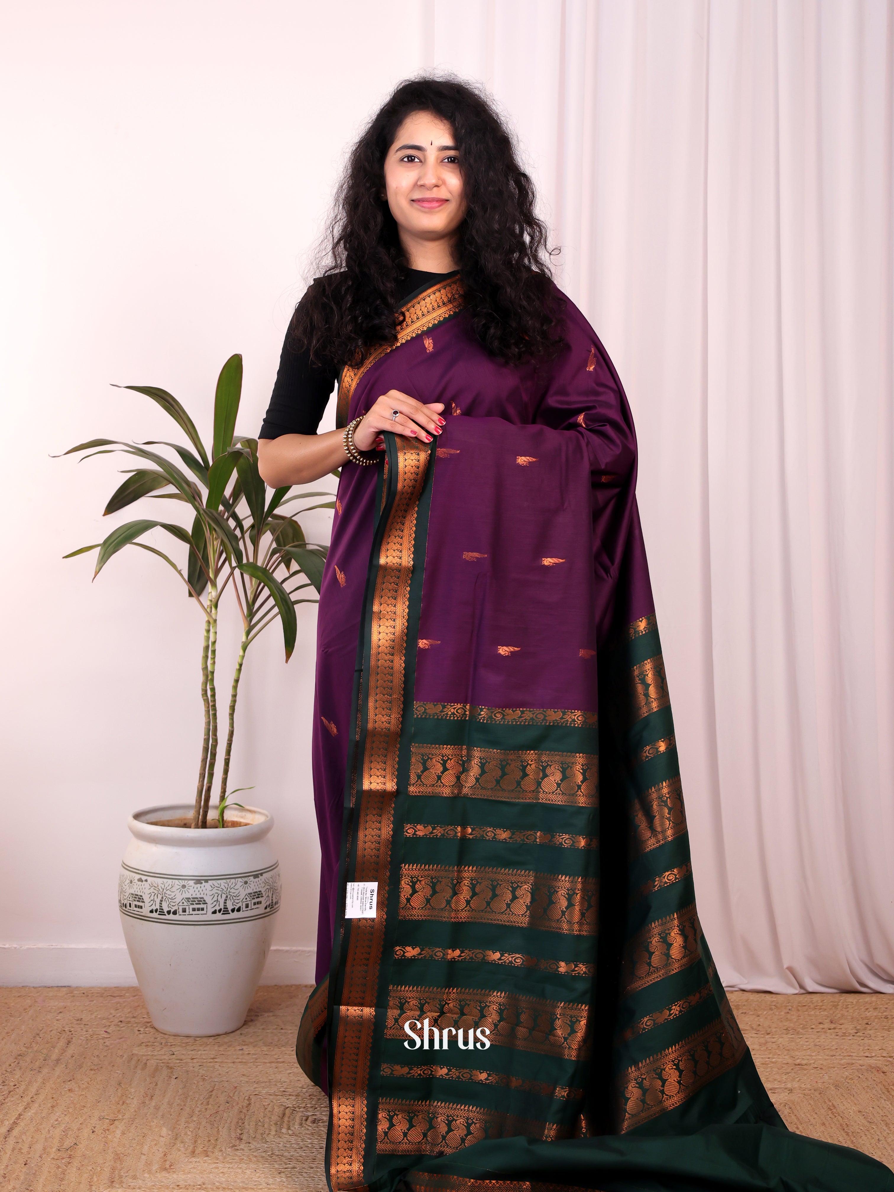 Violet & Green- Kalyani Cotton Saree - Shop on Shrus.com