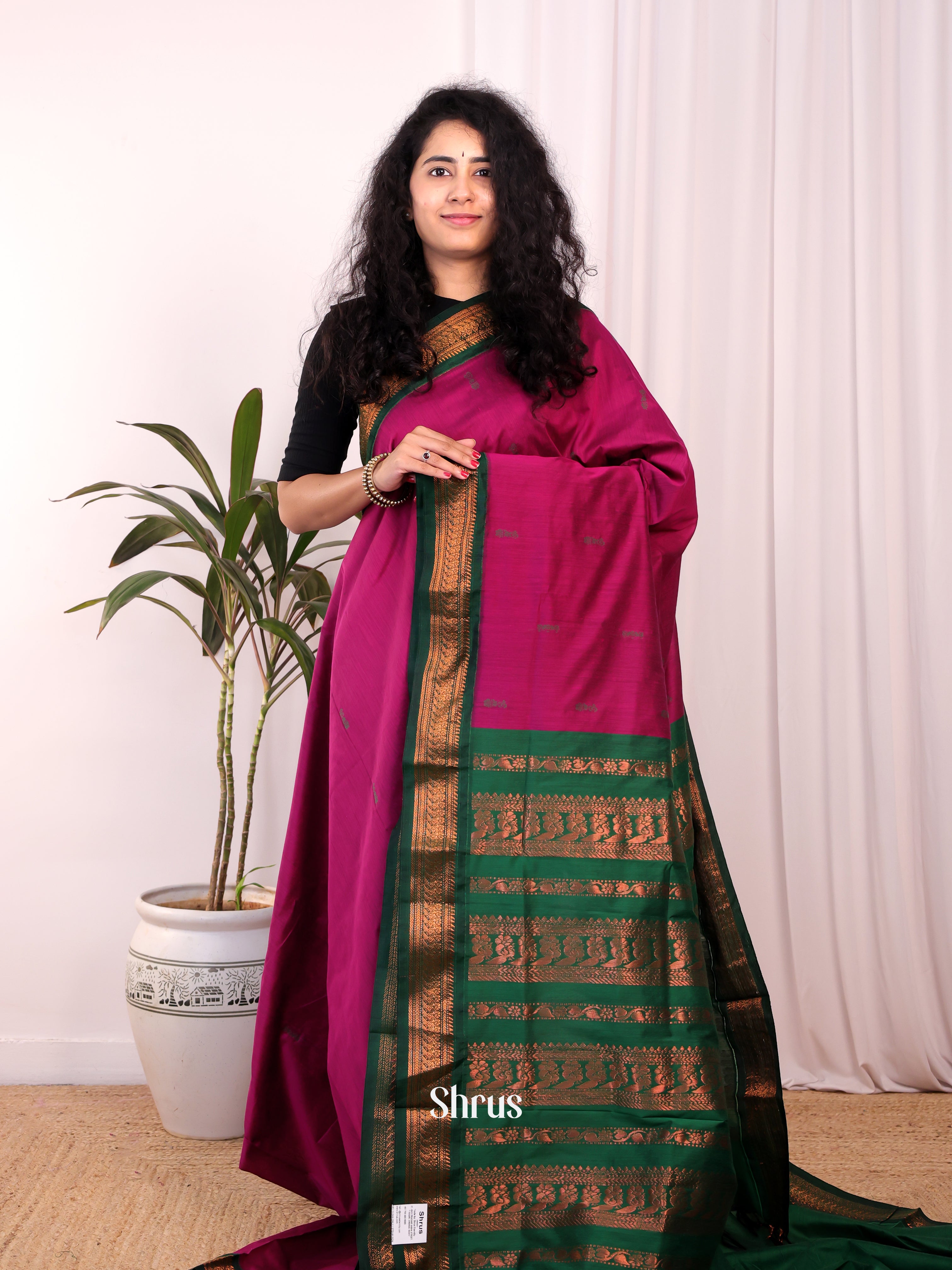 Purple & Green - Kalyani Cotton Saree - Shop on Shrus.com