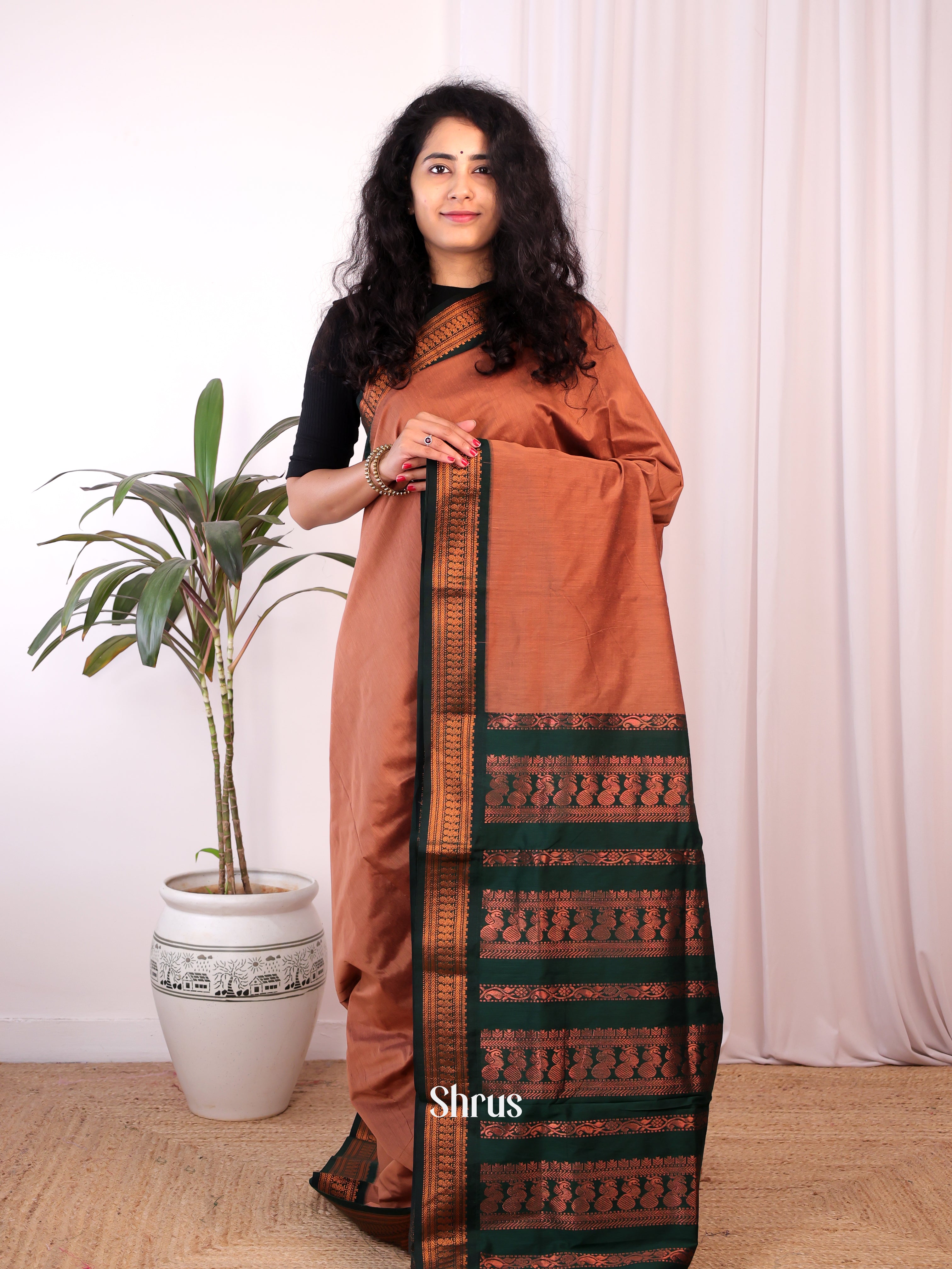 Brown & Green - Kalyani Cotton Saree - Shop on Shrus.com