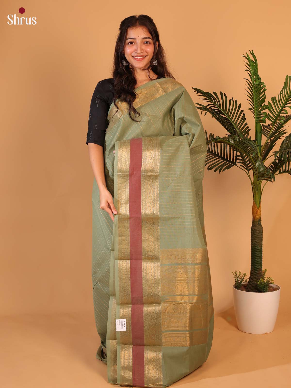 Pastel Green - Chettinad Cotton Saree - Shop on Shrus.com