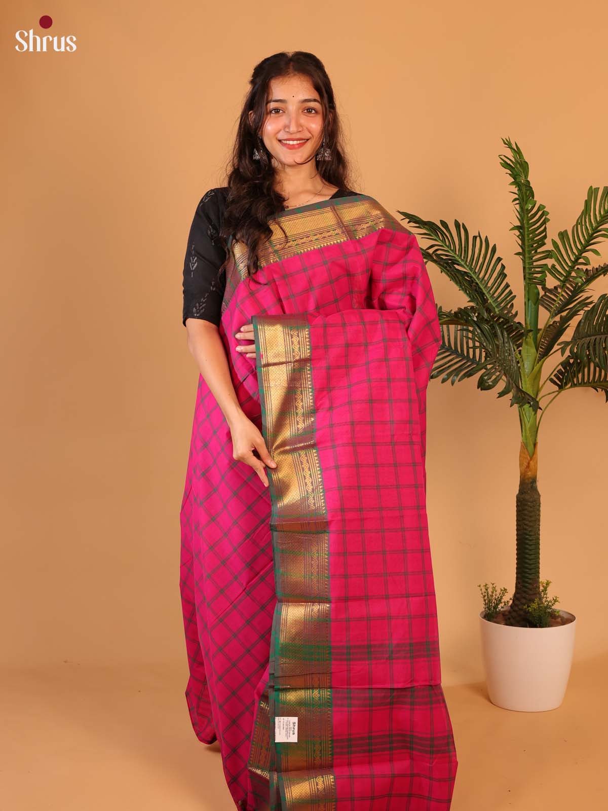 Chettinad Cotton Saree - Green with pink undertone (purple border) main image 1
