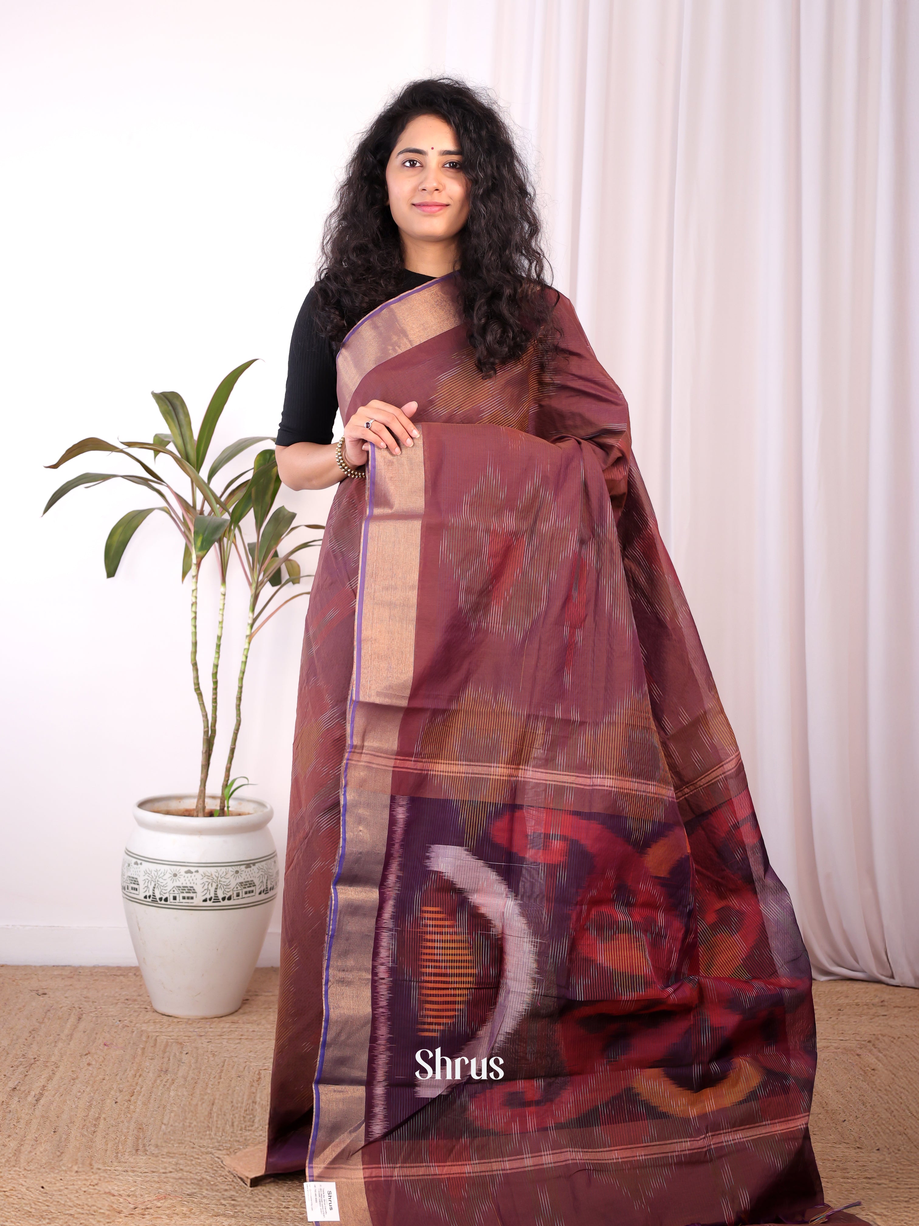 Brown - Ikkat Kora Saree - Shop on Shrus.com