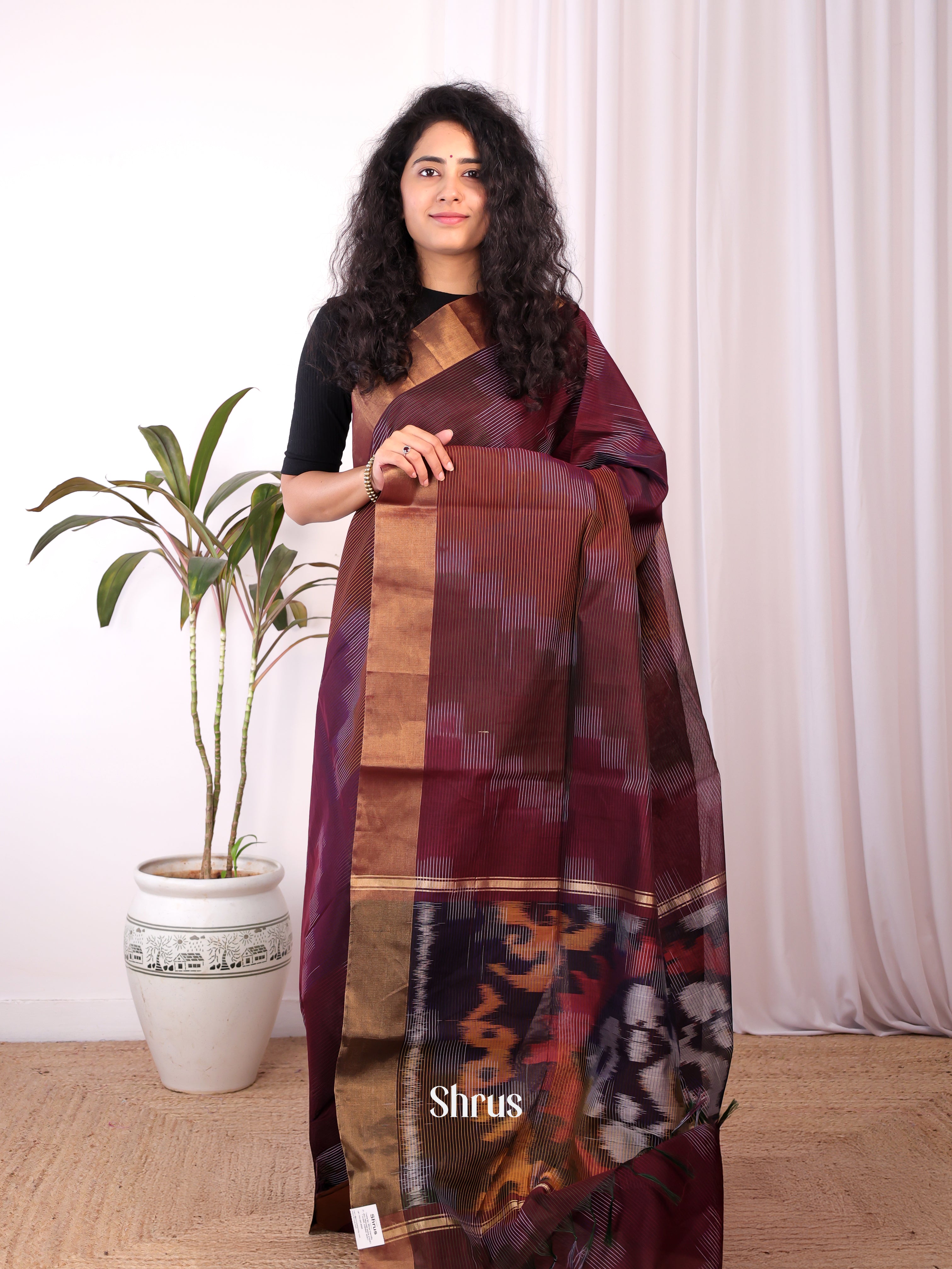 Brown - Ikkat Kora Saree - Shop on Shrus.com