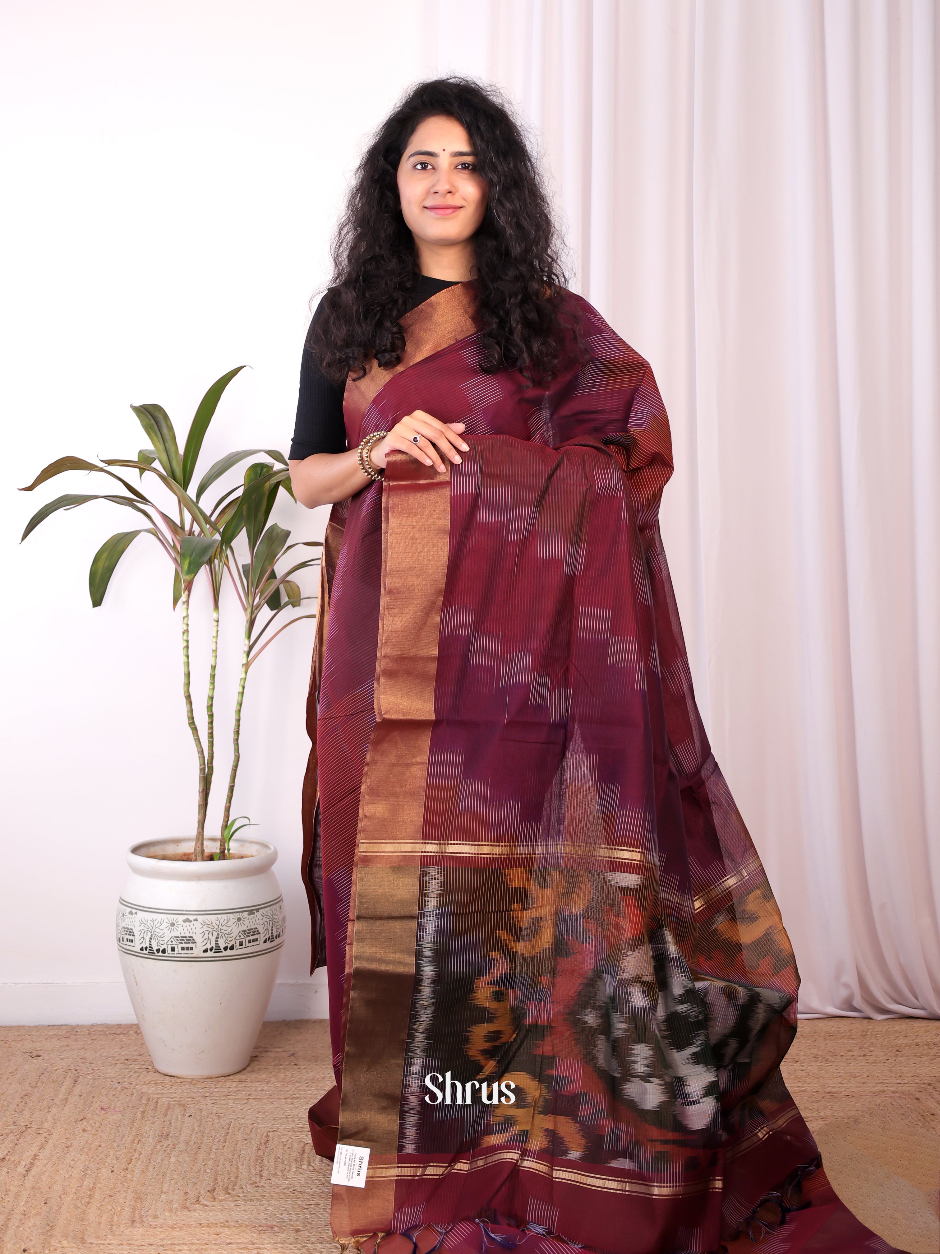 Brown - Ikkat Kora Saree - Shop on Shrus.com