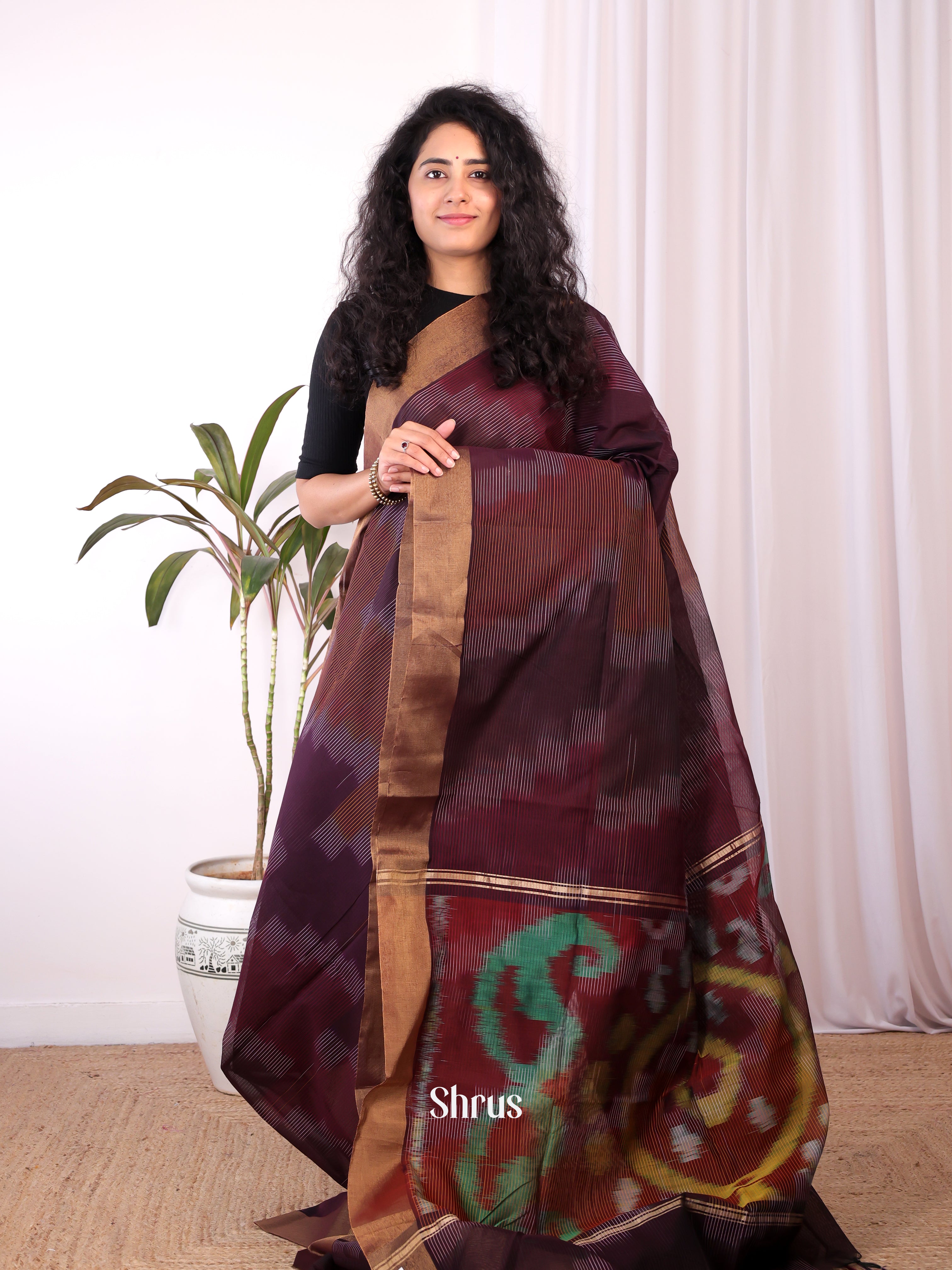 Brown - Ikkat Kora Saree - Shop on Shrus.com