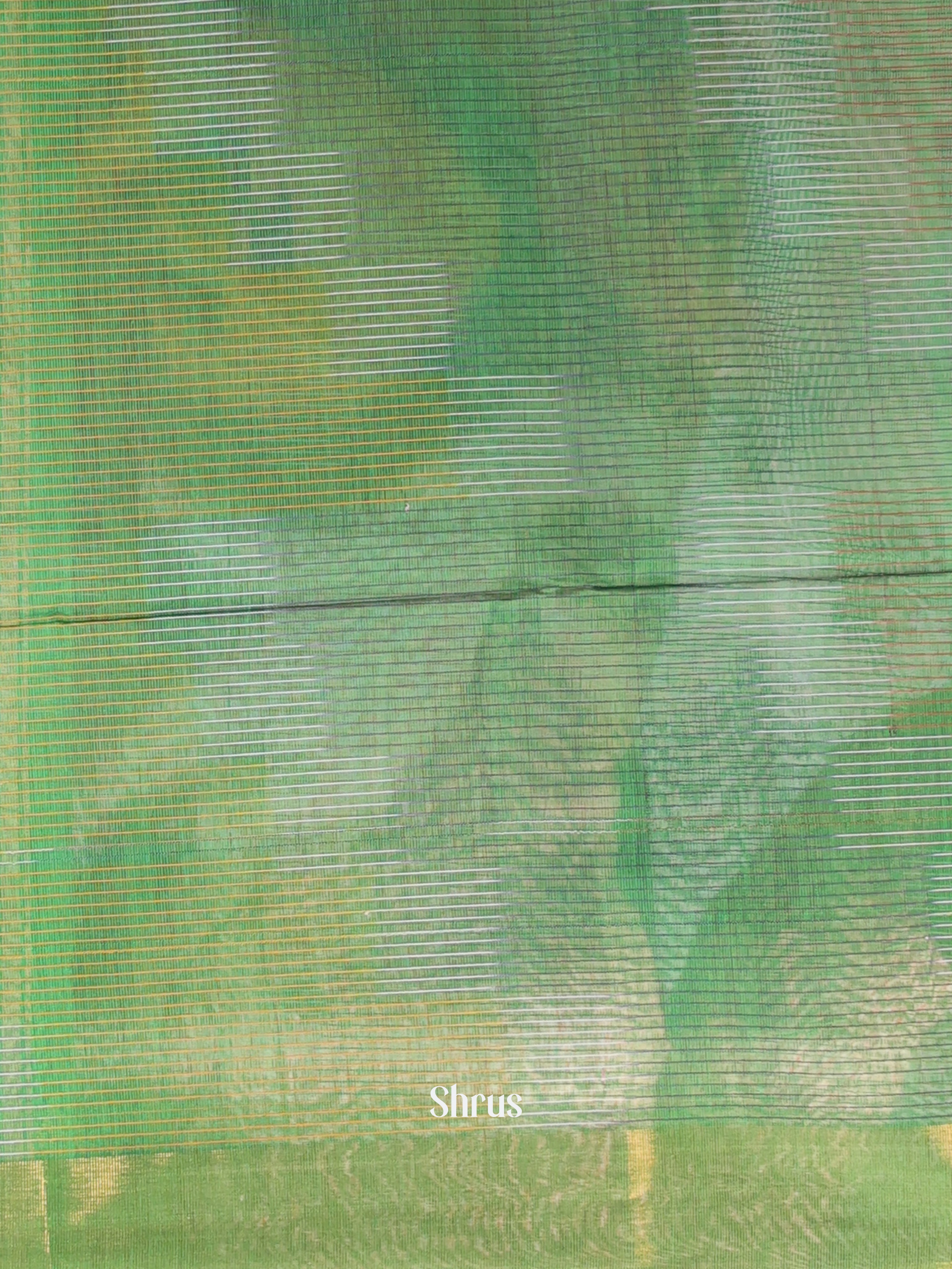 Green - Ikkat Kora Saree - Shop on Shrus.com