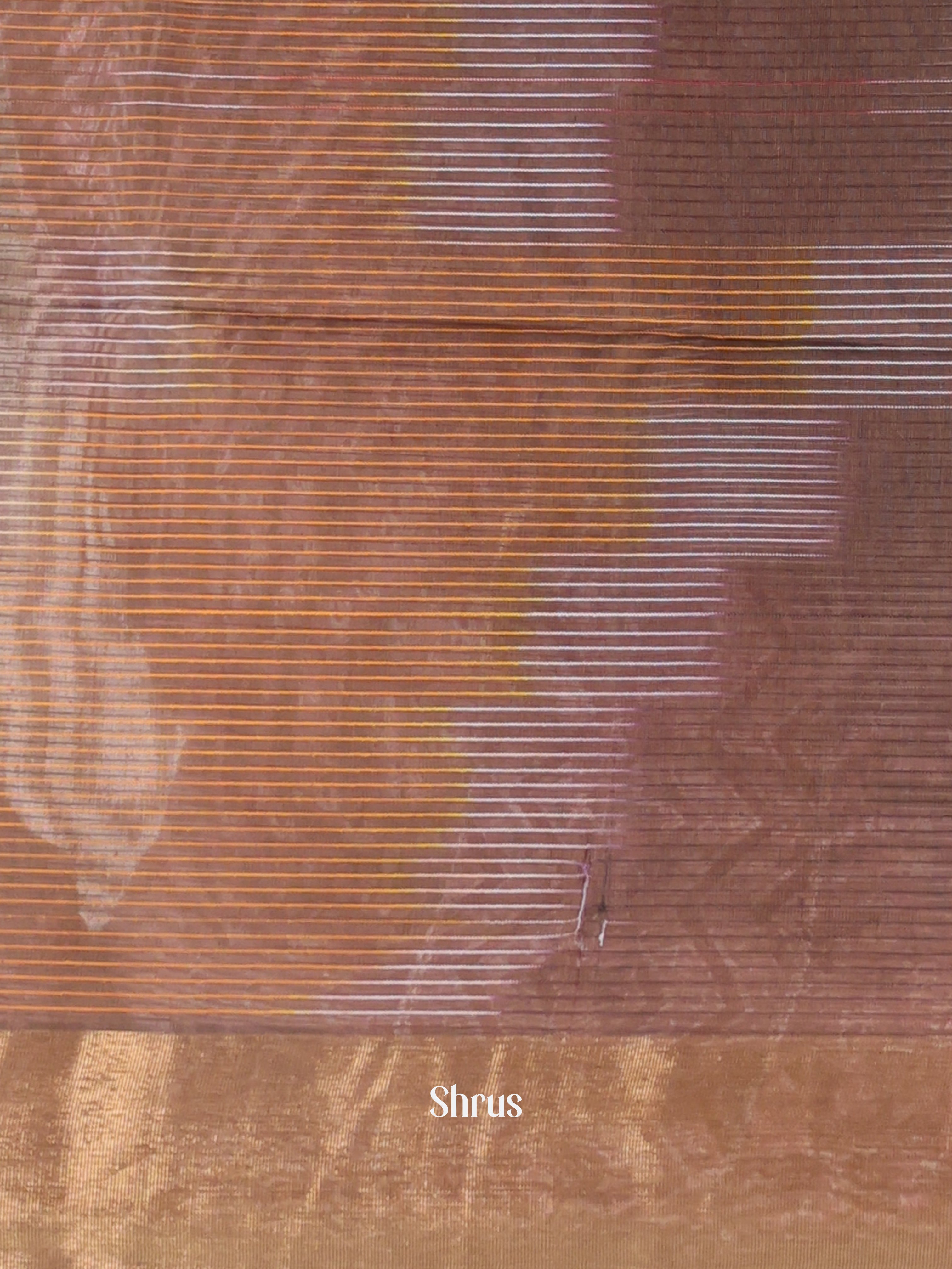 Brown - Ikkat Kora Saree - Shop on Shrus.com