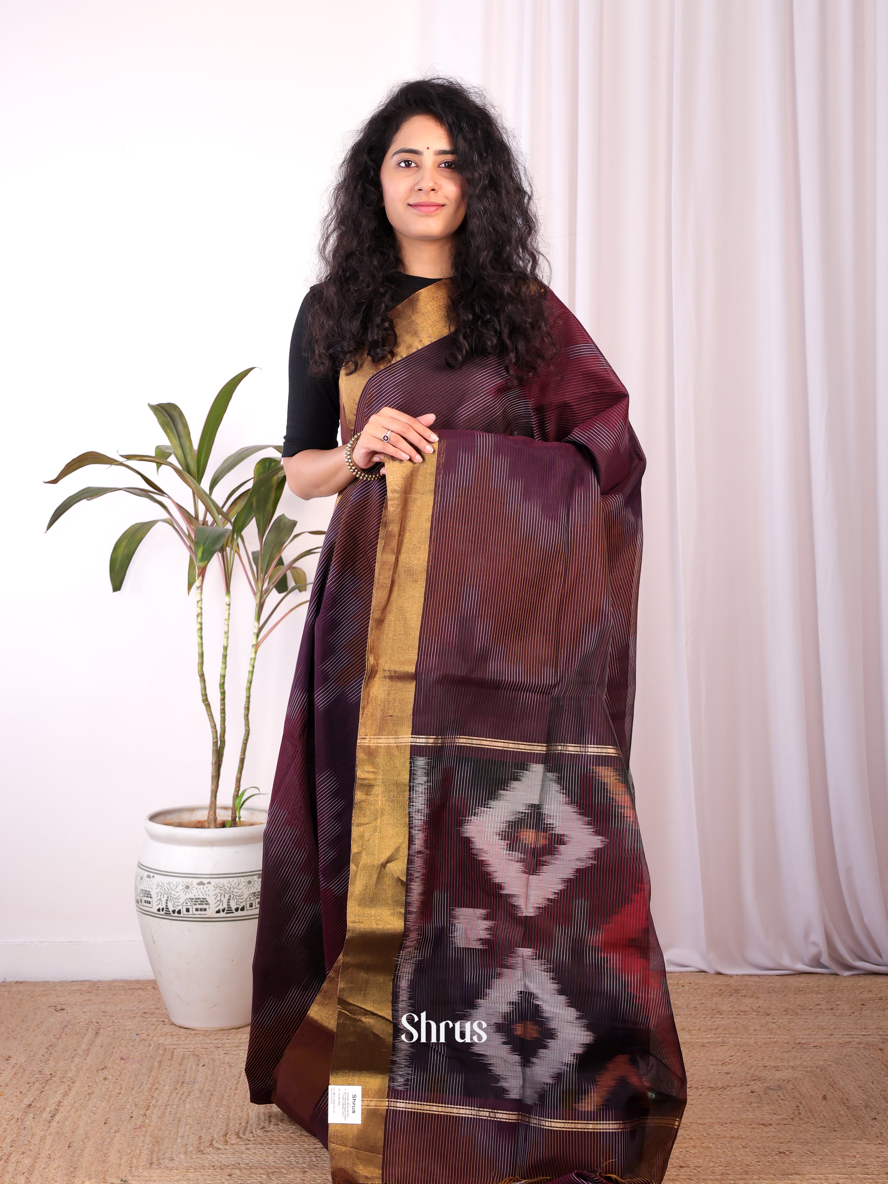 Brown - Ikkat Kora Saree - Shop on Shrus.com