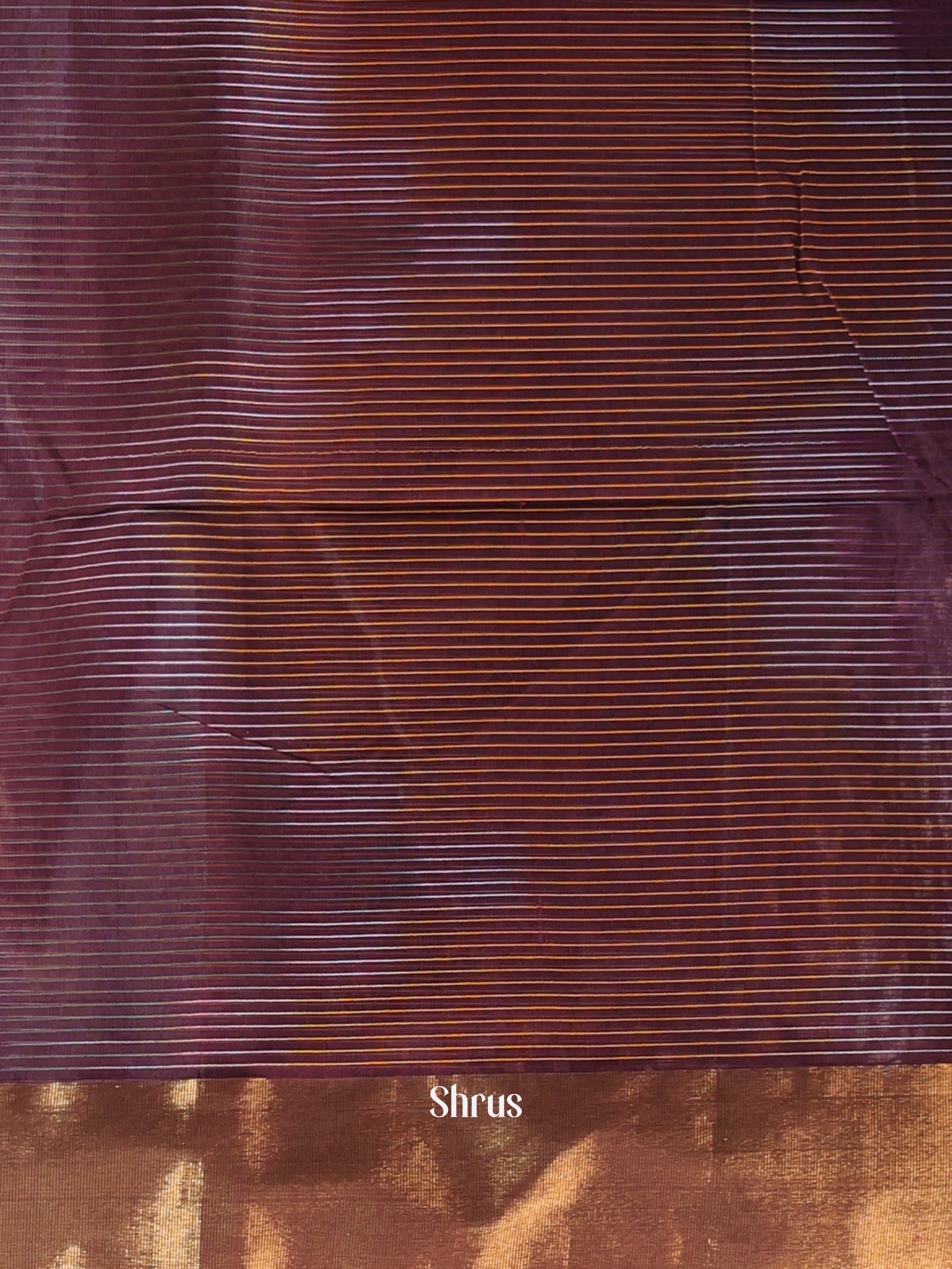 Brown - Ikkat Kora Saree - Shop on Shrus.com