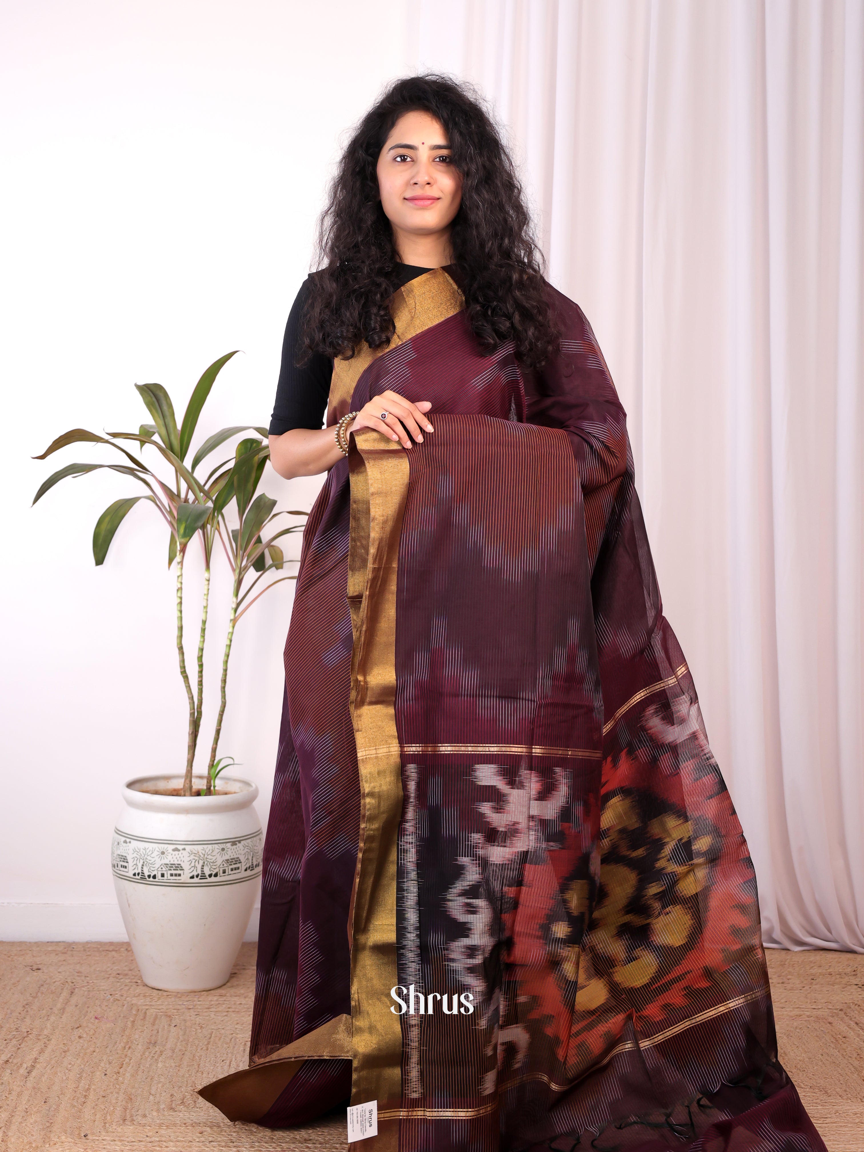 Brown - Ikkat Kora Saree - Shop on Shrus.com