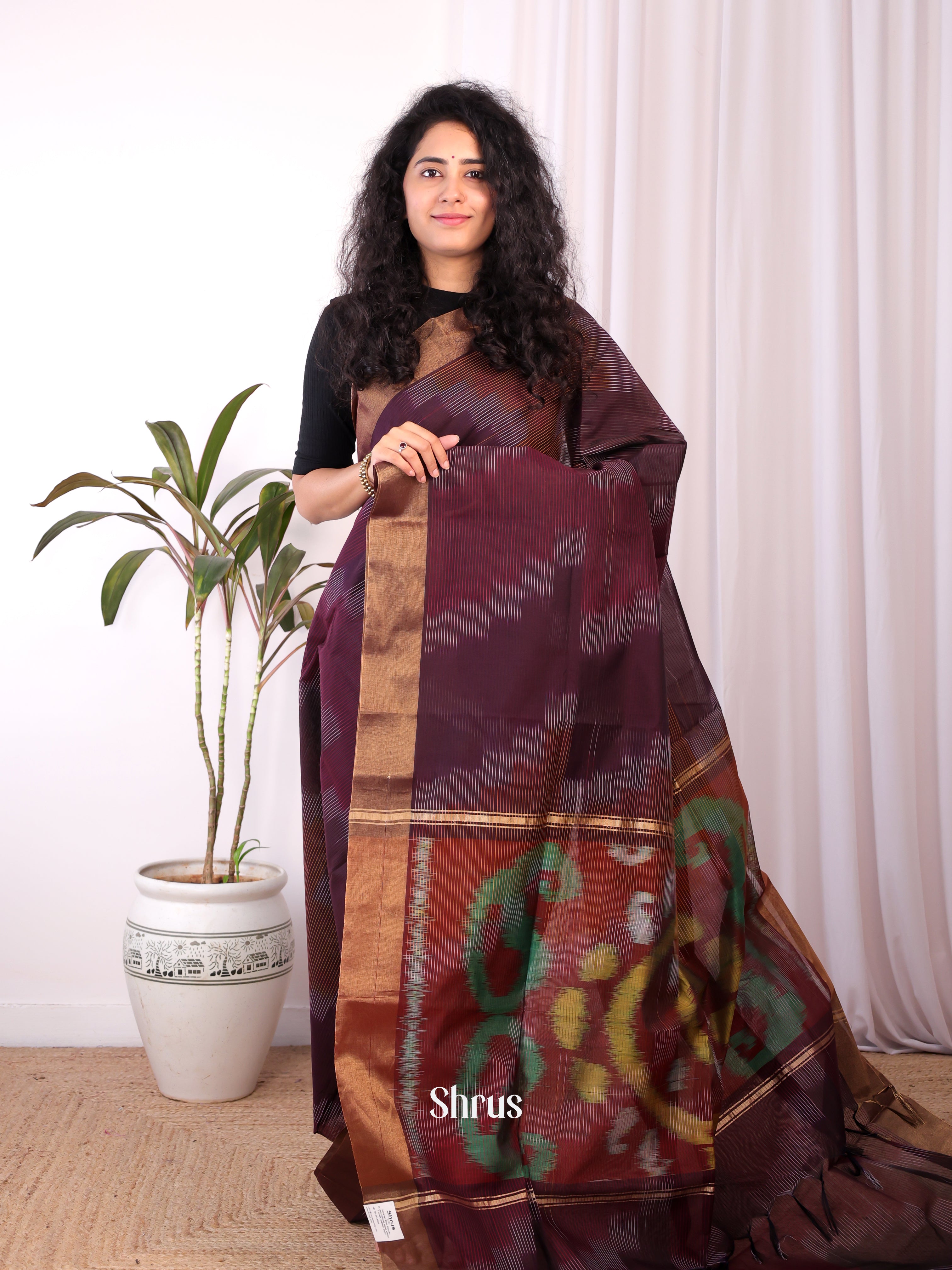 Brown - Ikkat Kora Saree - Shop on Shrus.com