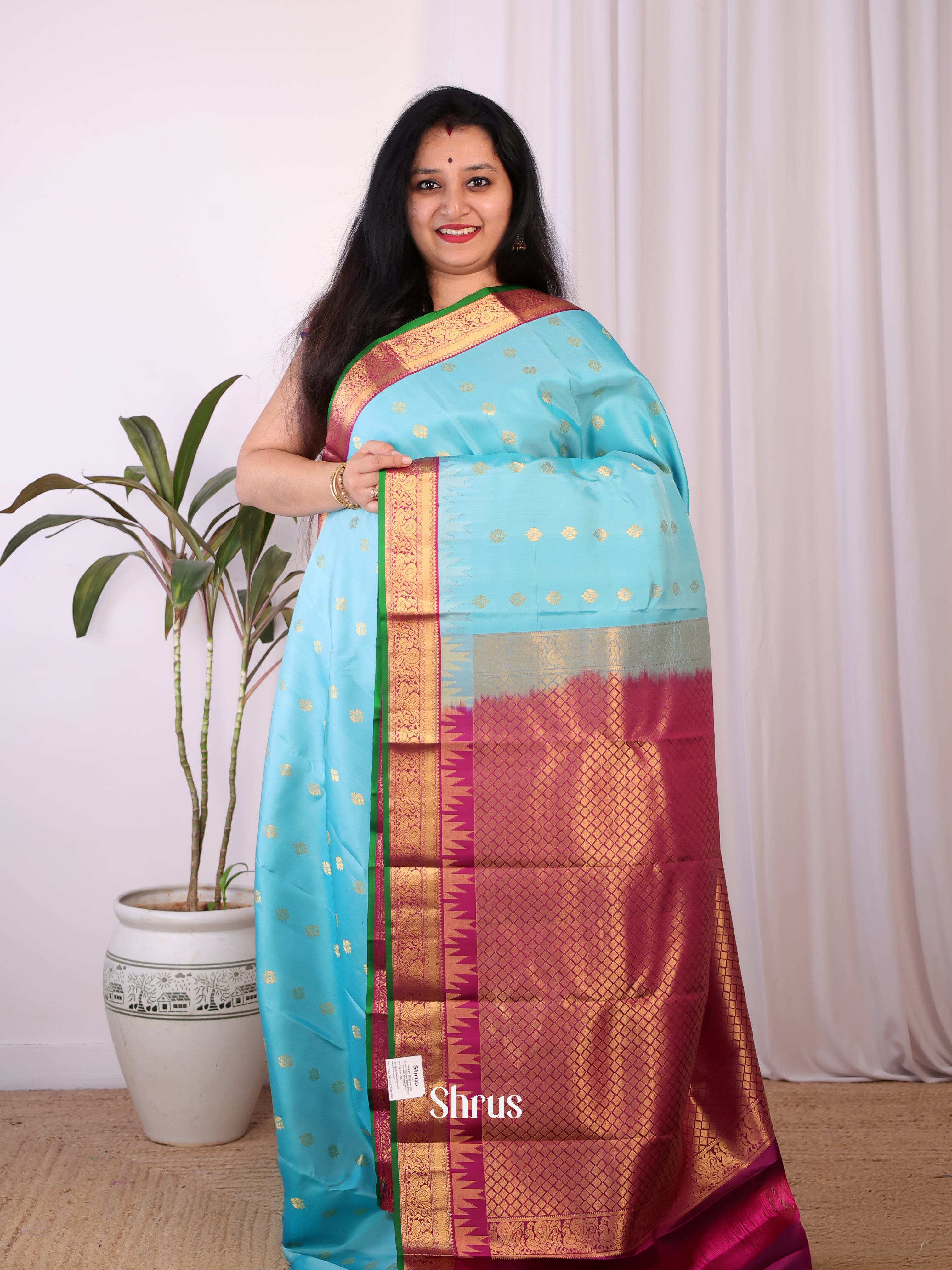 Blue & Purple - Kanchipuram silk Saree - Shop on Shrus.com