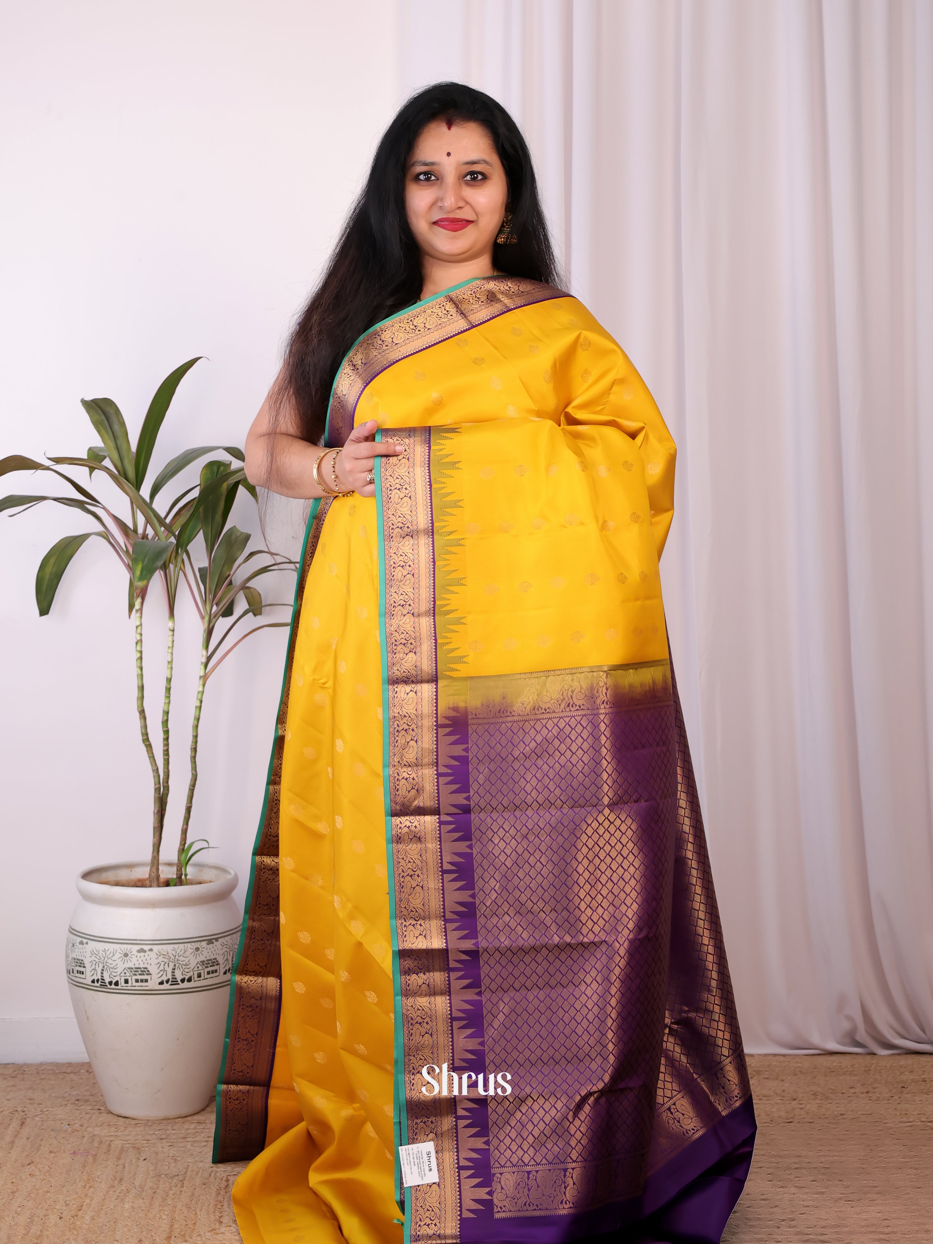Yellow & Violet - Kanchipuram silk Saree - Shop on Shrus.com