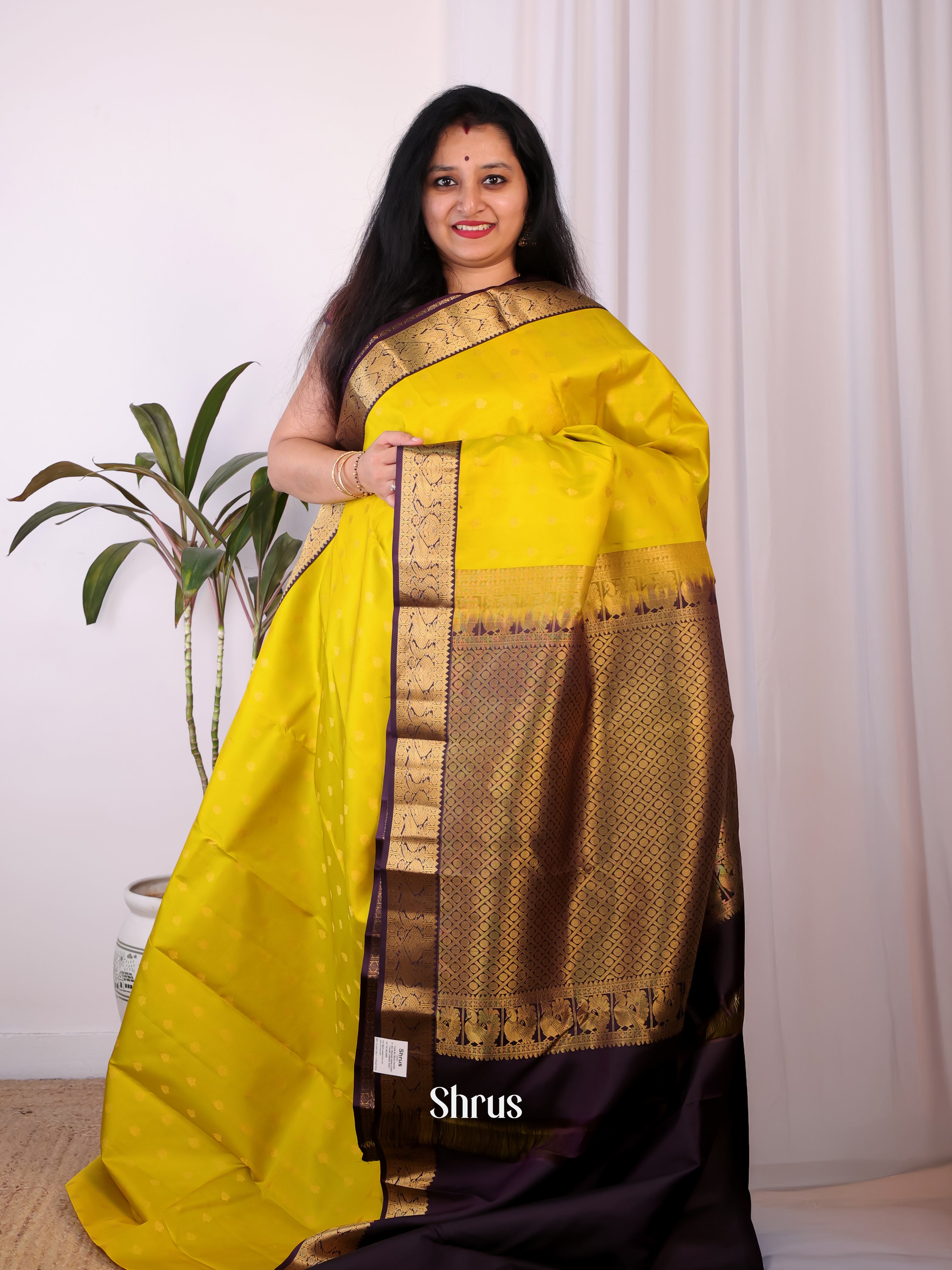Mustardy Yellow & Dark Purple - Kanchipuram silk Saree - Shop on Shrus.com