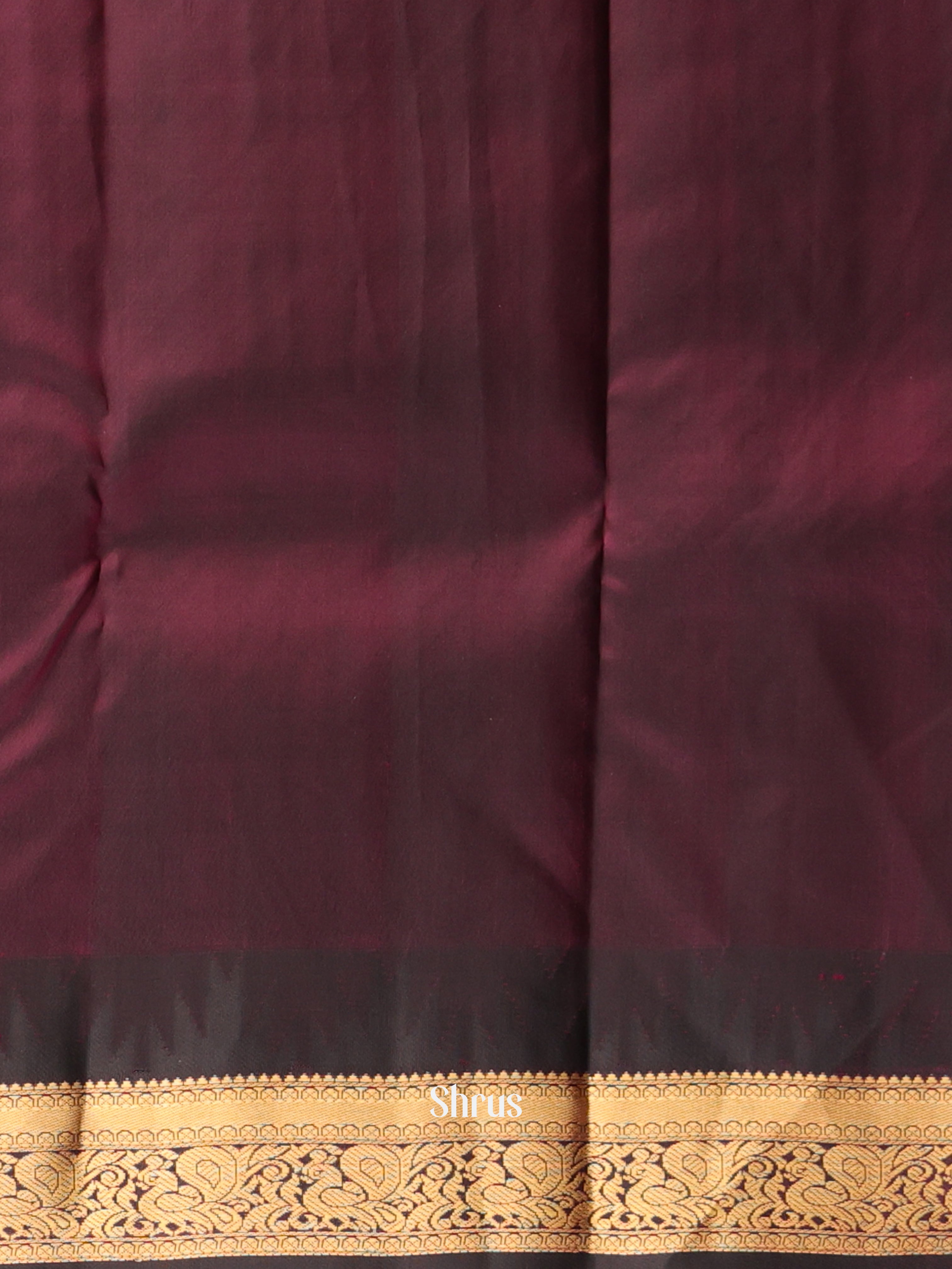 Cream & Brown- Kanchipuram silk Saree - Shop on Shrus.com