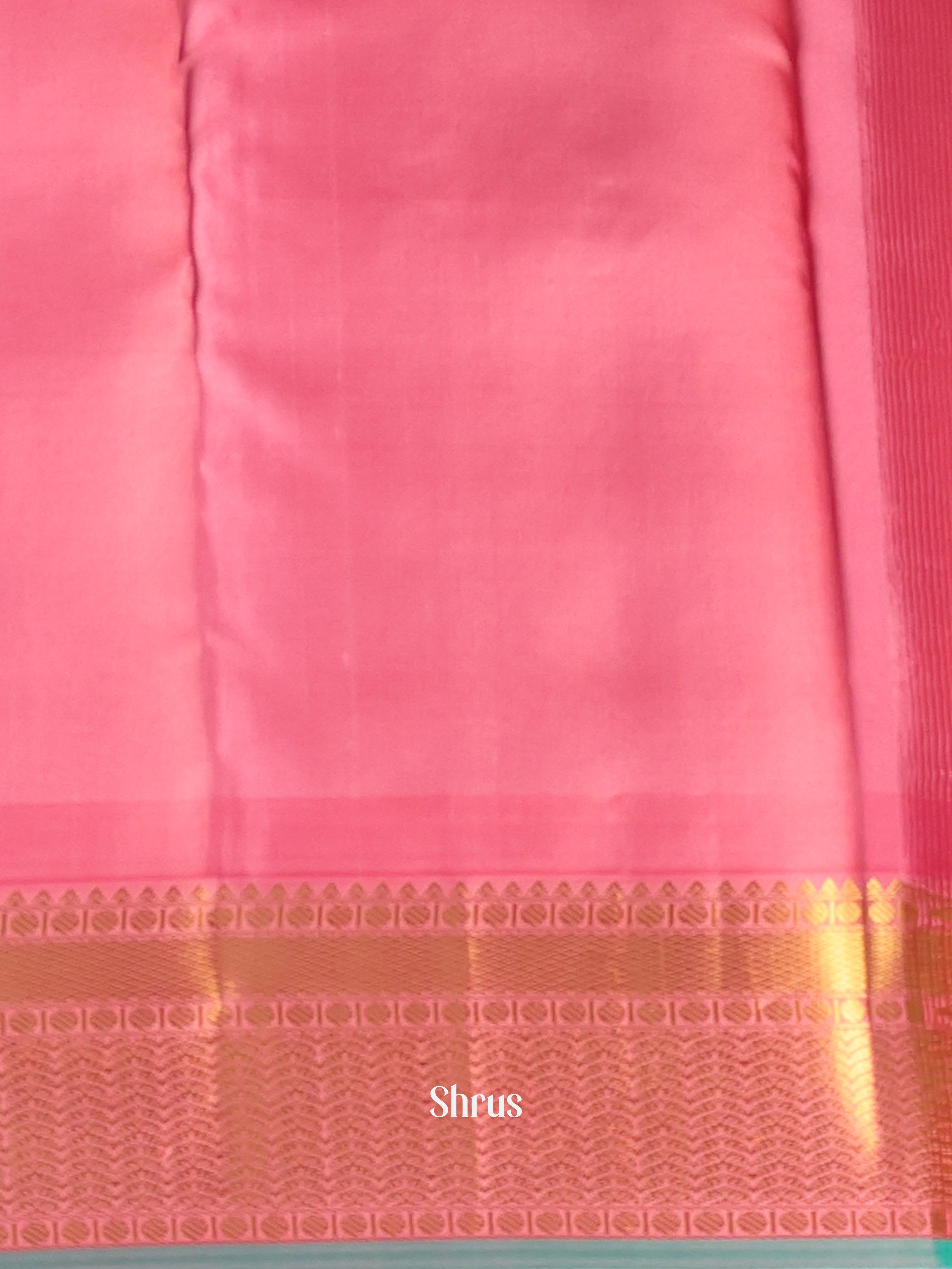 Violet & Pink - Kanchipuram silk Saree - Shop on Shrus.com