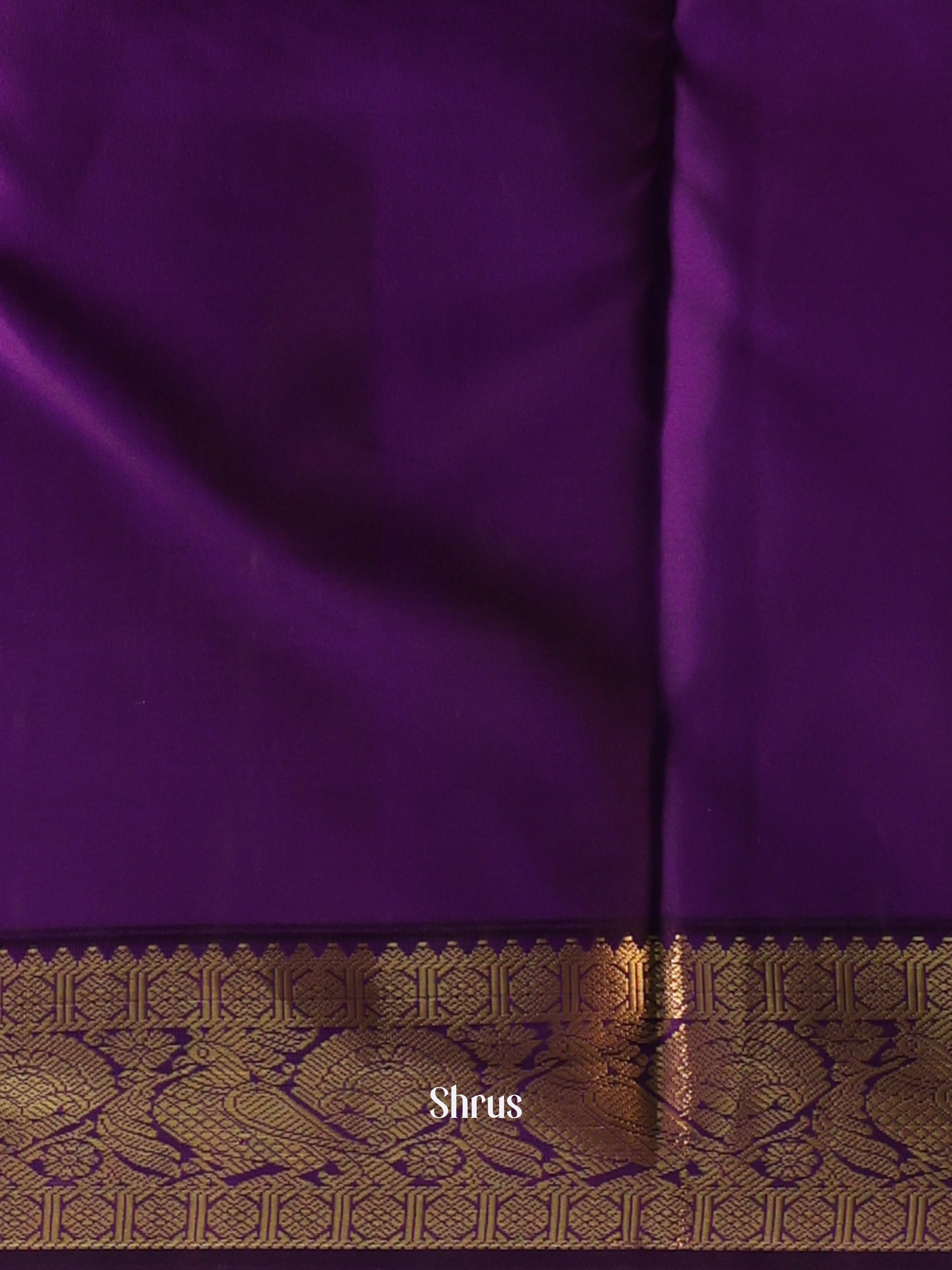 Cream & Violet- Kanchipuram silk Saree - Shop on Shrus.com