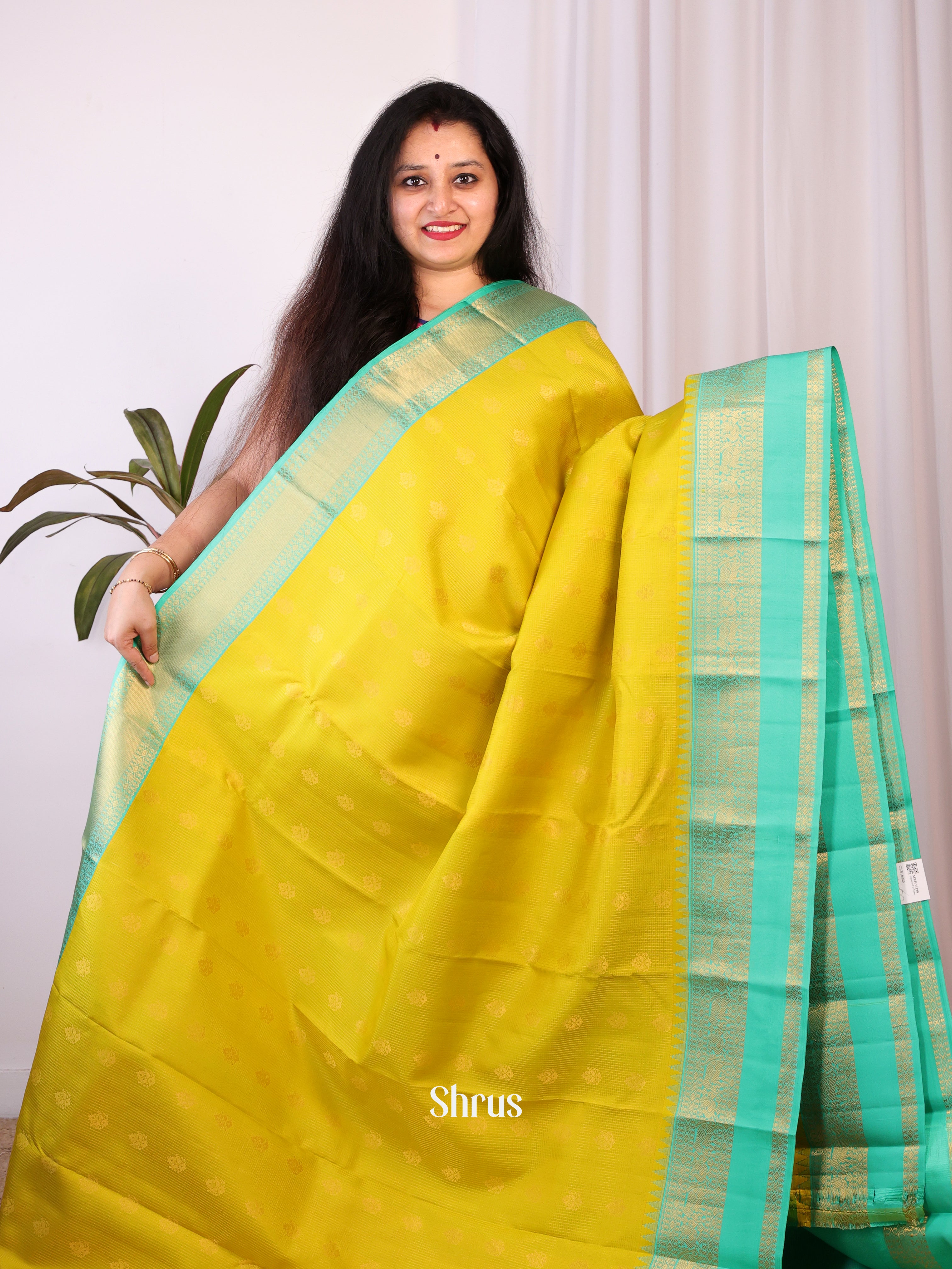 Mustardy Green & Teal- Kanchipuram silk Saree - Shop on Shrus.com