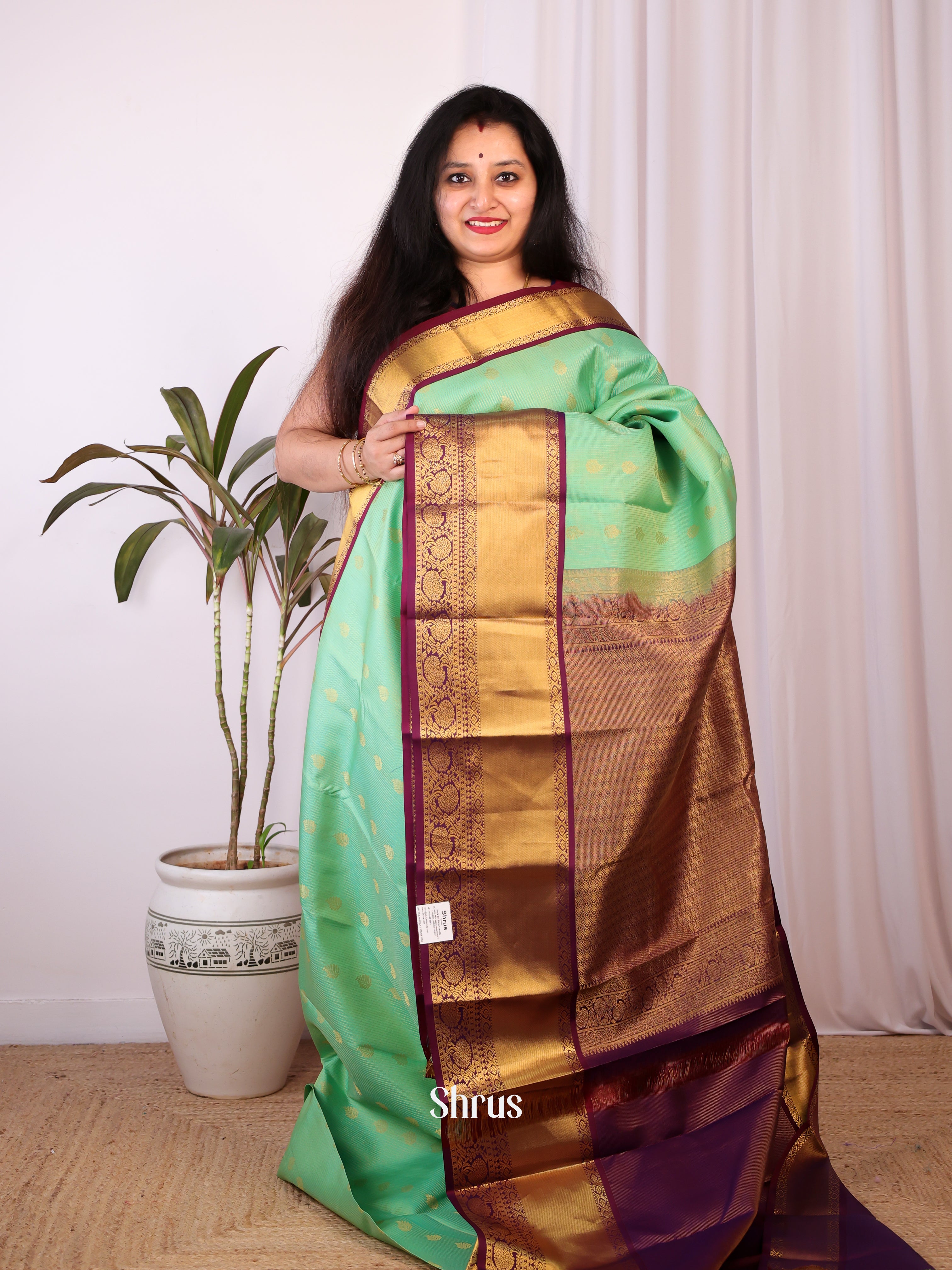 Green & Brown - Kanchipuram silk Saree - Shop on Shrus.com