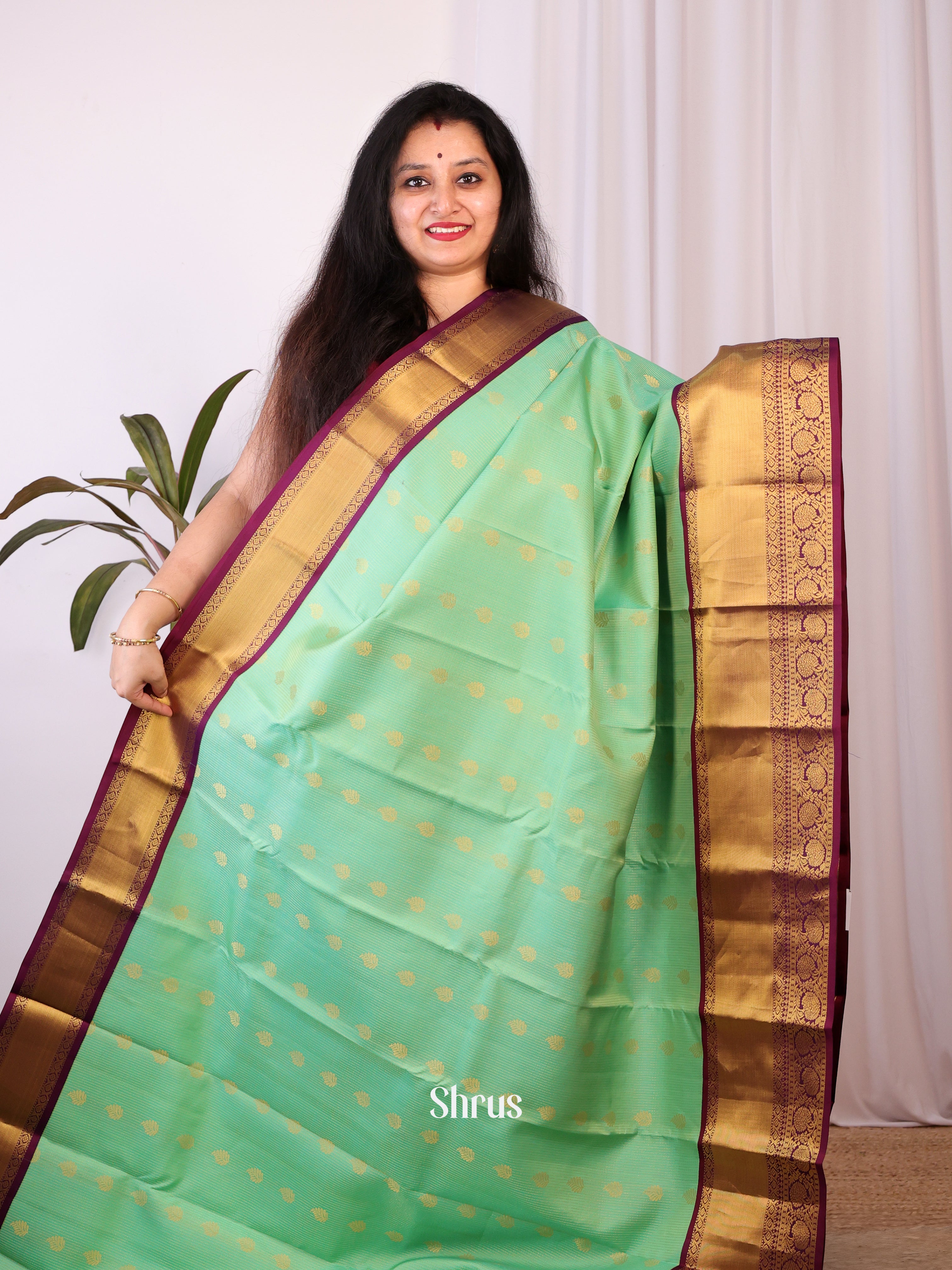 Green & Brown - Kanchipuram silk Saree - Shop on Shrus.com
