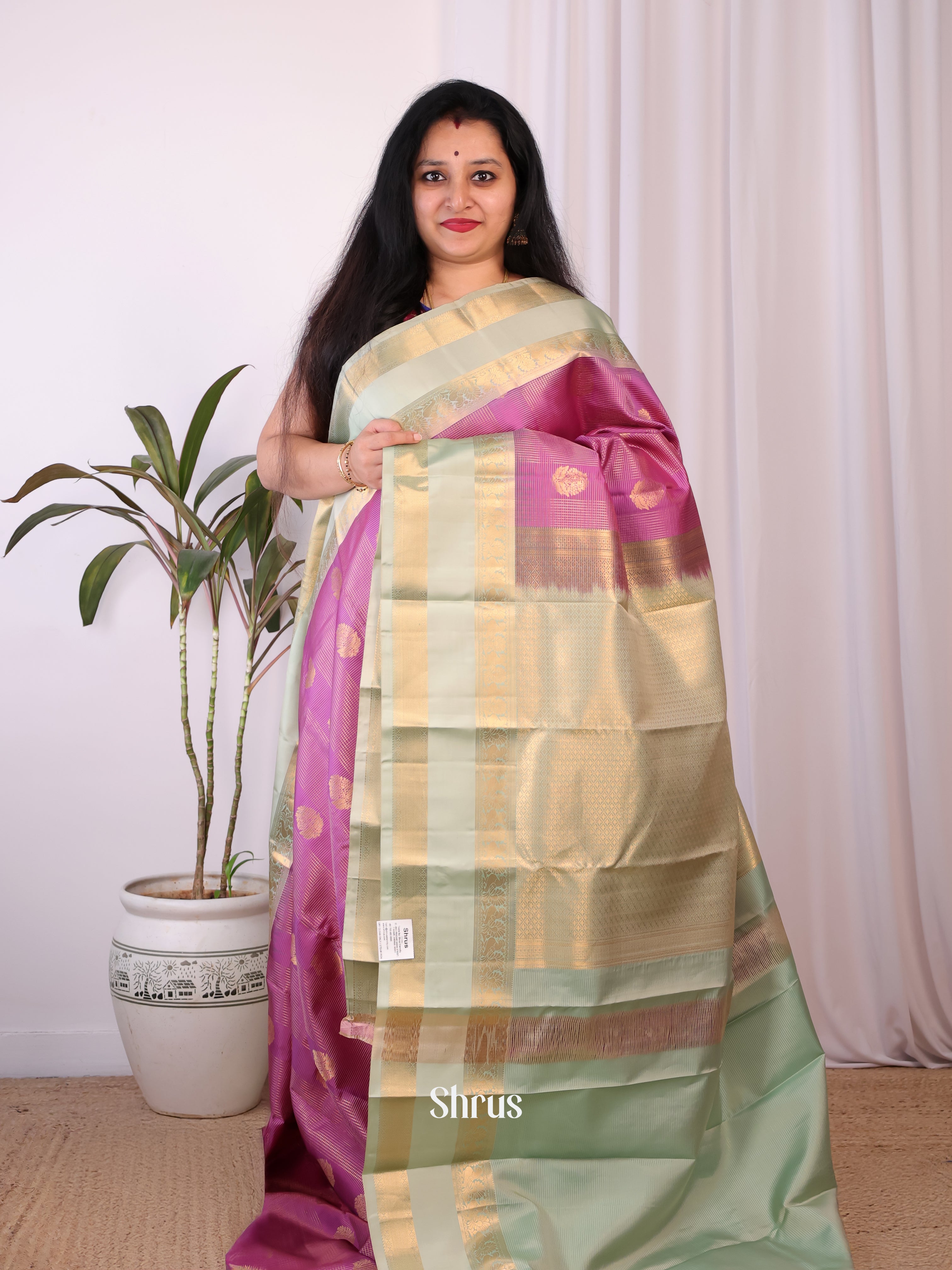 Purple & Lite Green - Kanchipuram silk Saree - Shop on Shrus.com