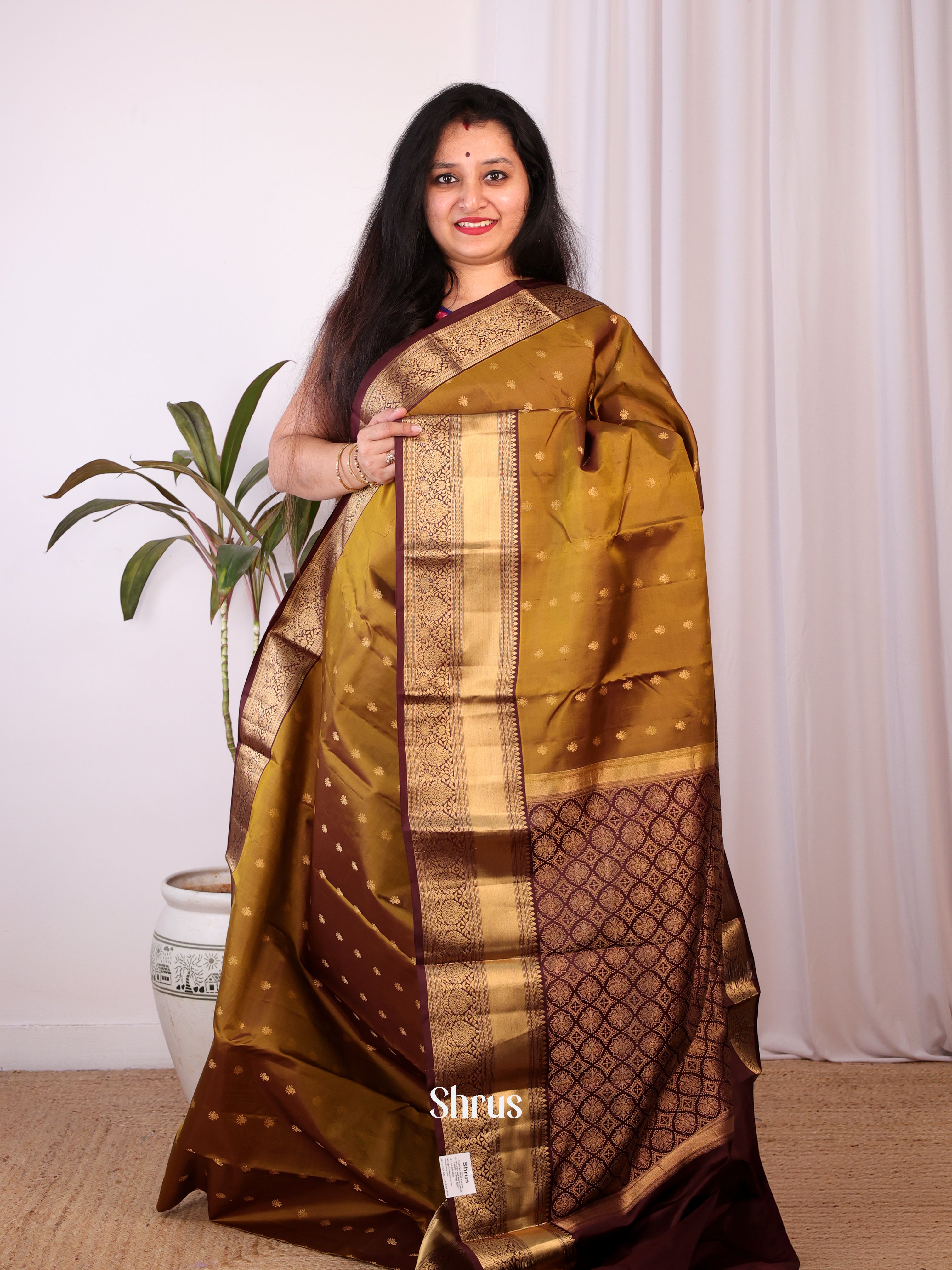 Mehandi & Brown - Kanchipuram silk Saree - Shop on Shrus.com
