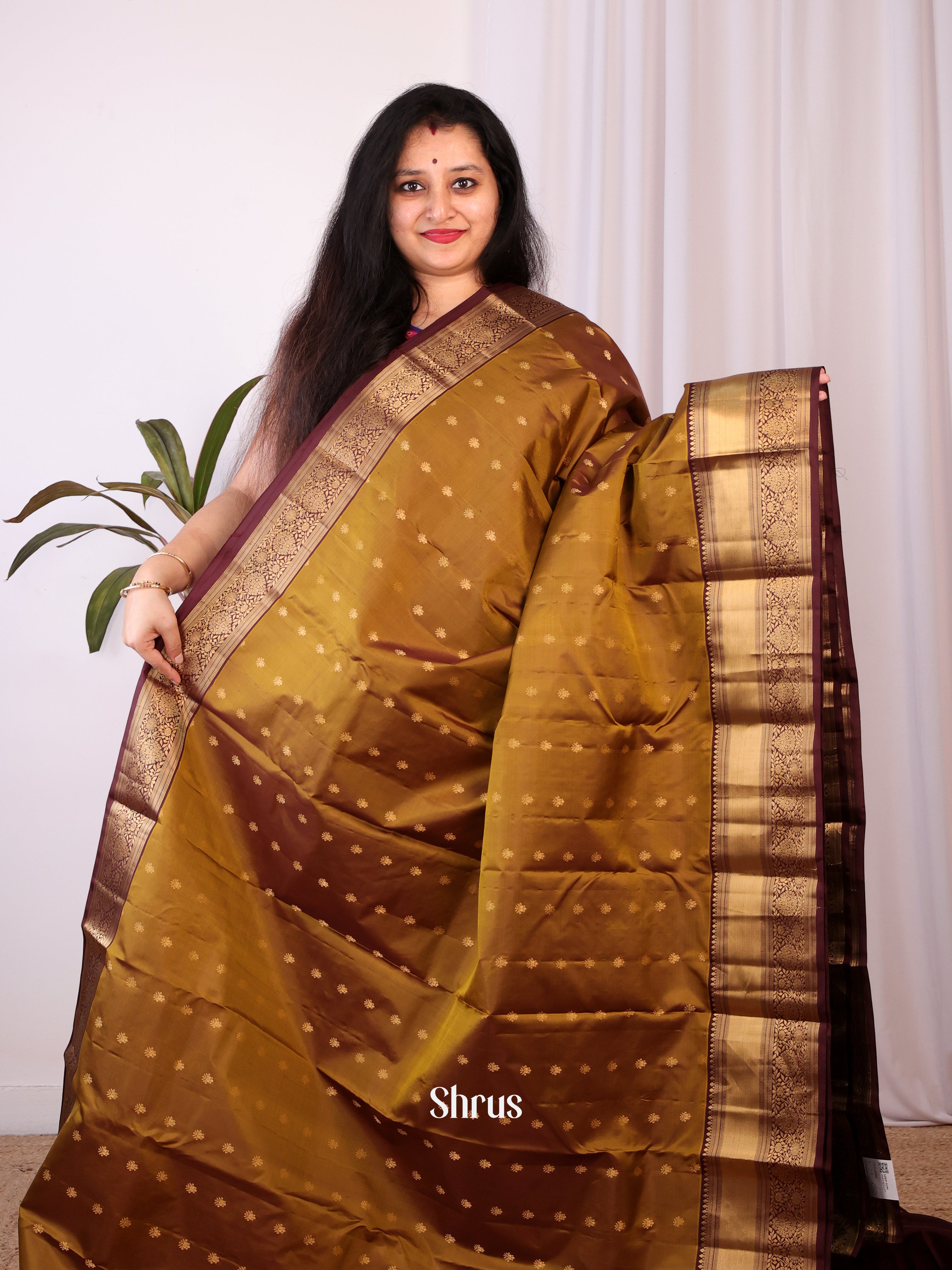 Mehandi & Brown - Kanchipuram silk Saree - Shop on Shrus.com