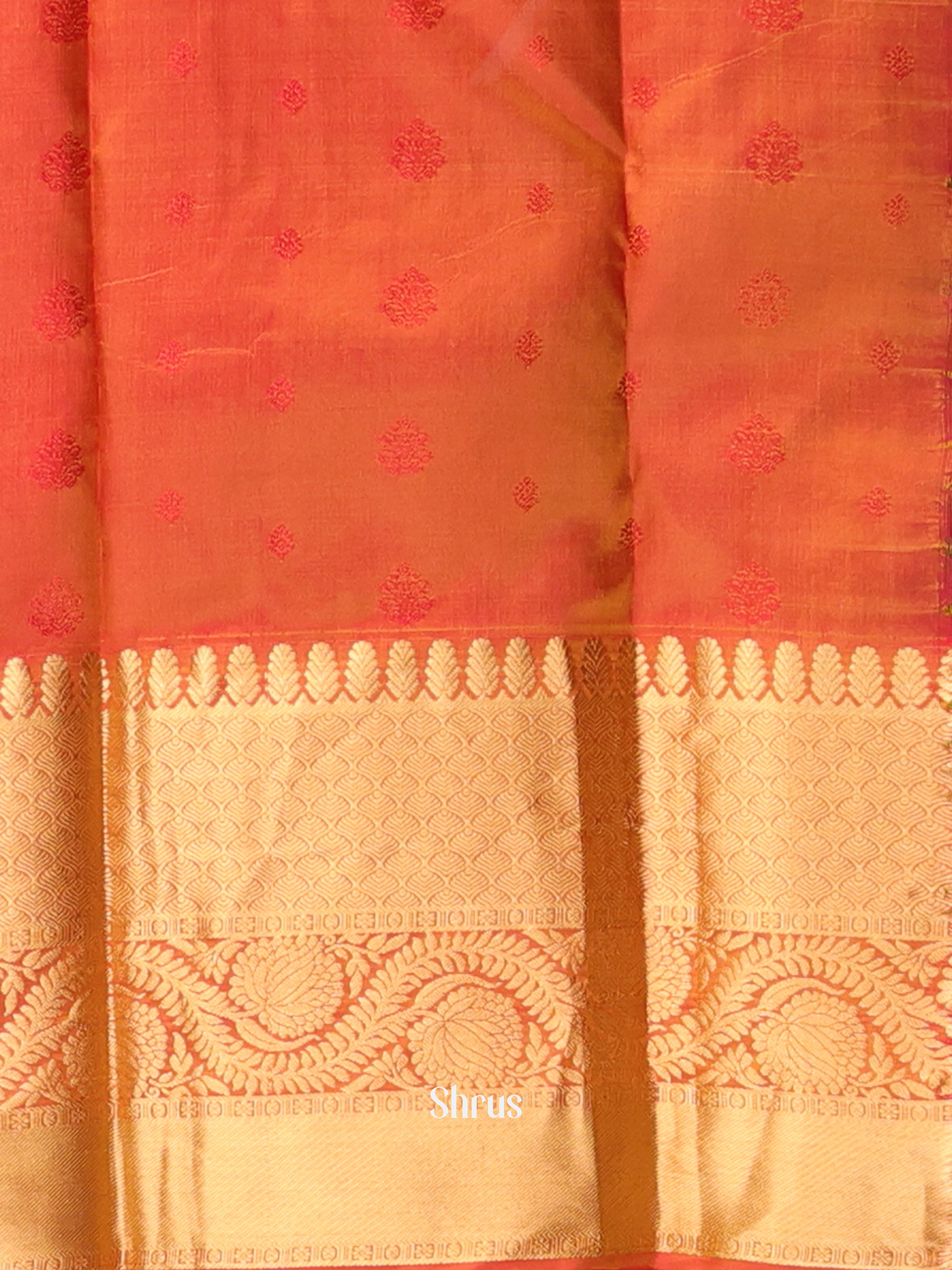 Green & Brick- Kanchipuram silk Saree - Shop on Shrus.com