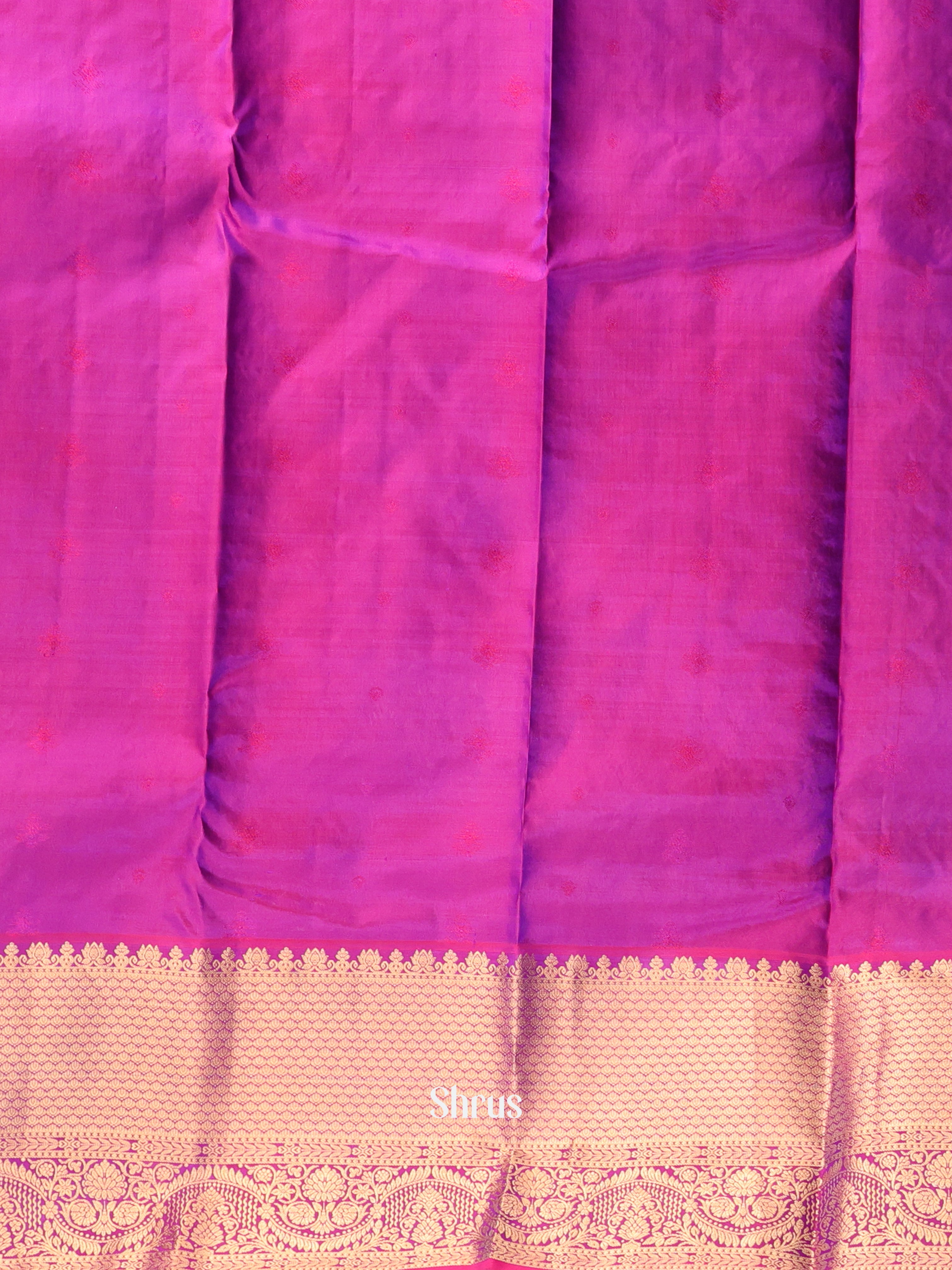 Blue & Purple - Kanchipuram silk Saree - Shop on Shrus.com