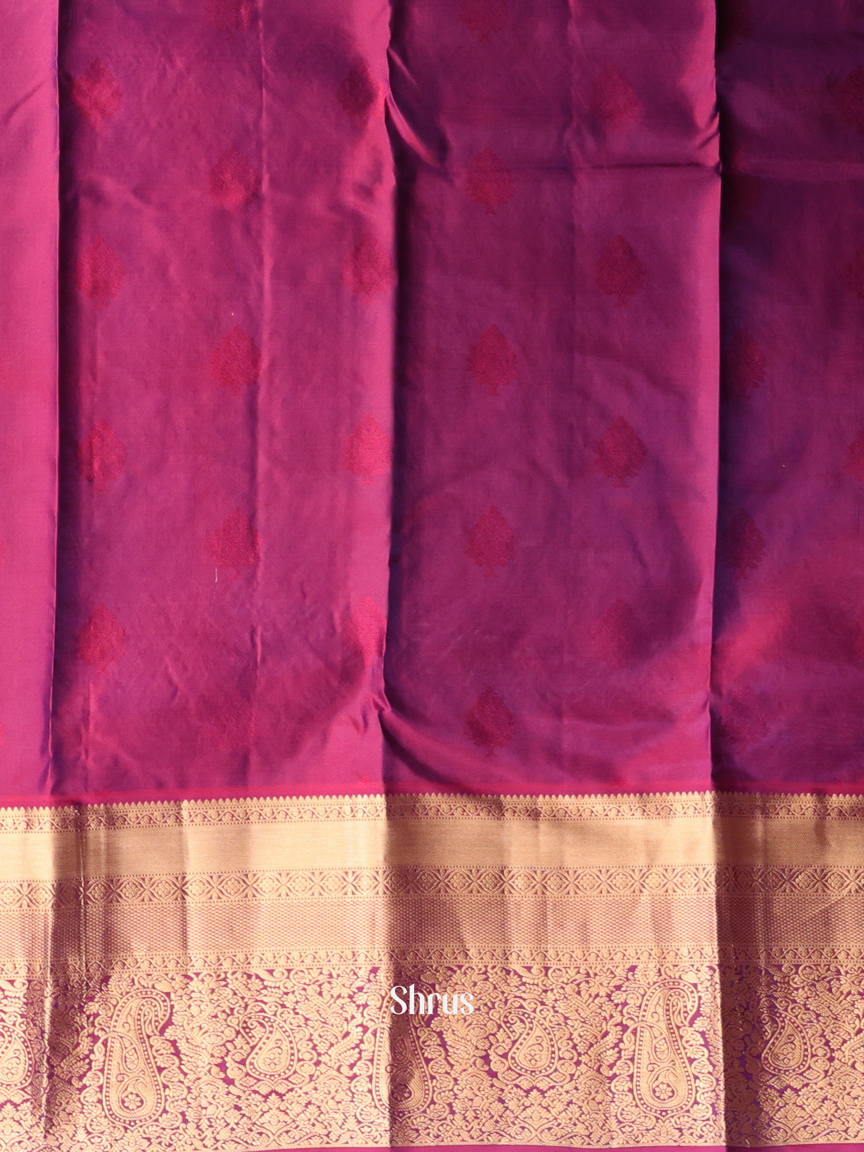 Violet & Purple - Kanchipuram silk Saree - Shop on Shrus.com