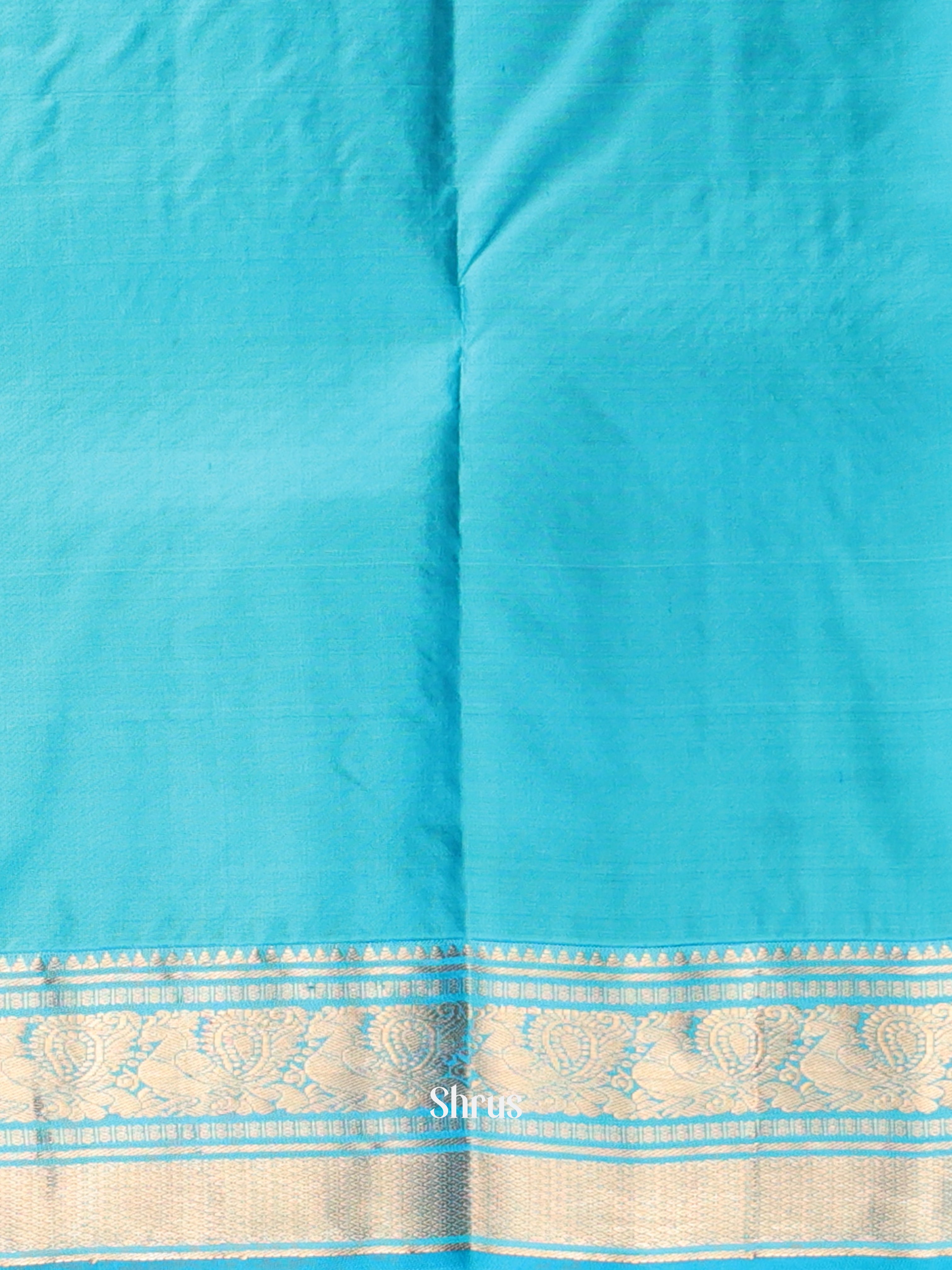 Cream and Blue Bridal Kanchipuram silk Saree With Zari Woven Checks-2