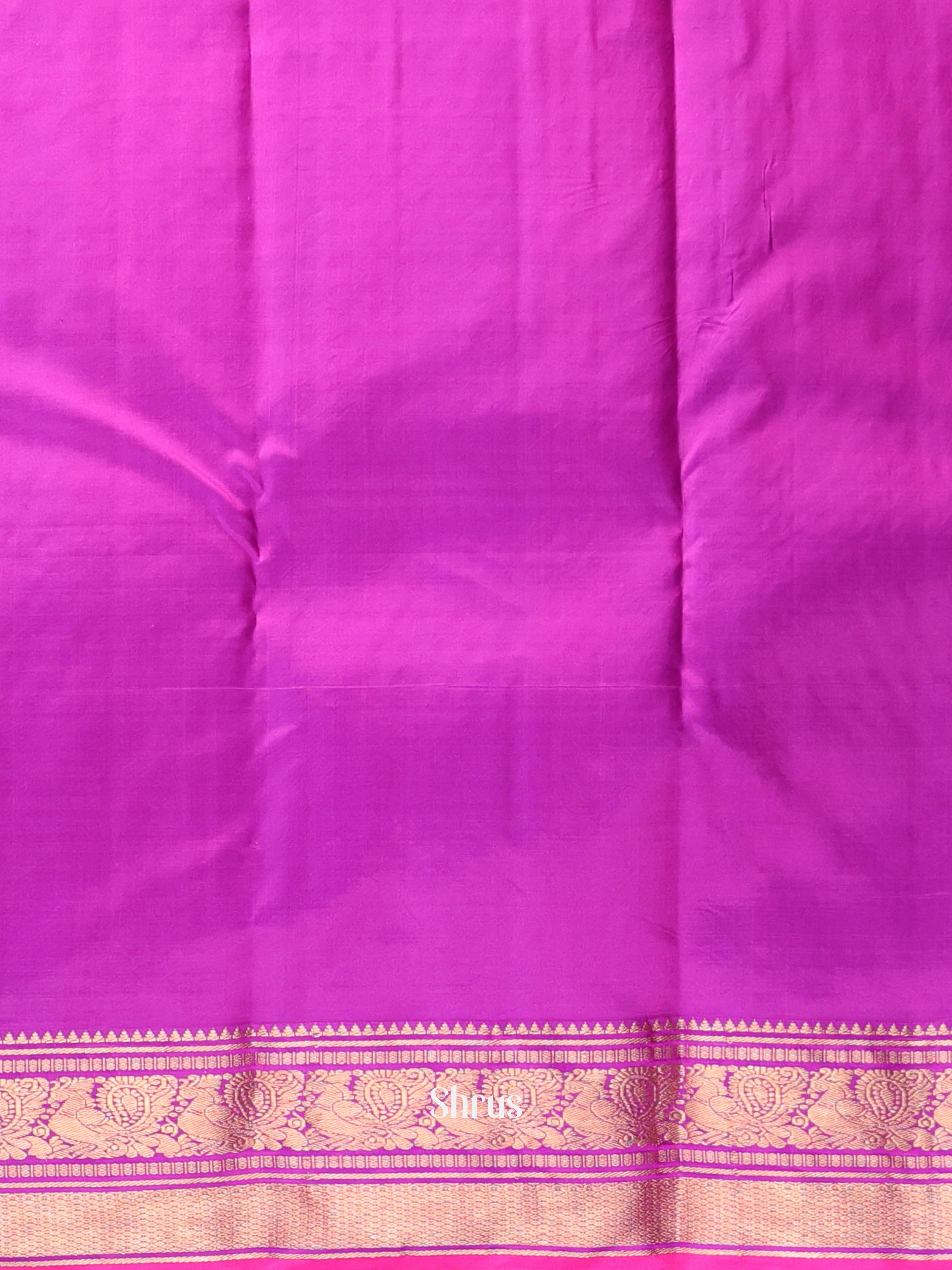 Parrot Green & Purple - Kanchipuram silk Saree - Shop on Shrus.com