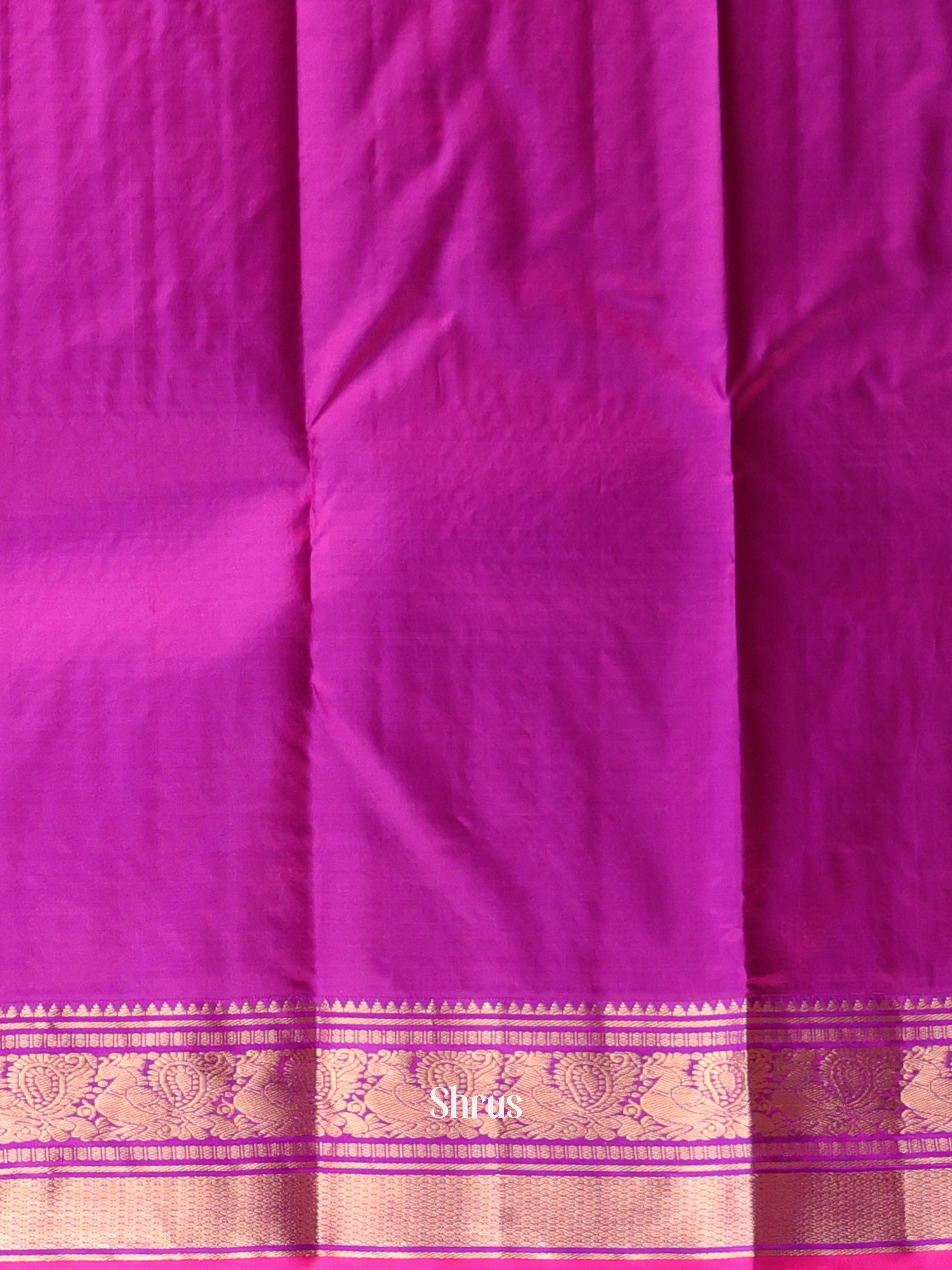 Beige & Purple - Kanchipuram silk Saree - Shop on Shrus.com