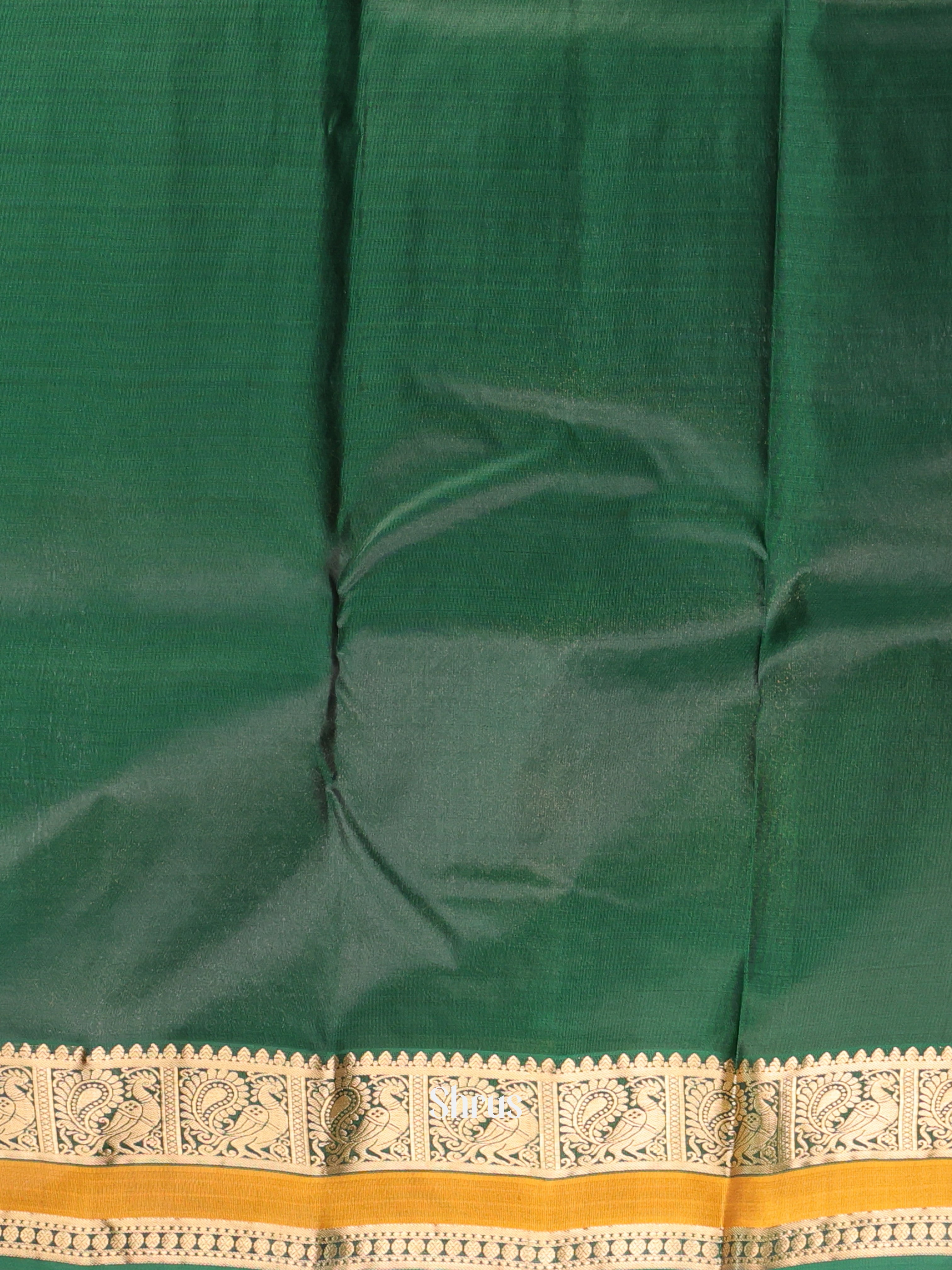 Violet & Green - Kanchipuram silk Saree - Shop on Shrus.com