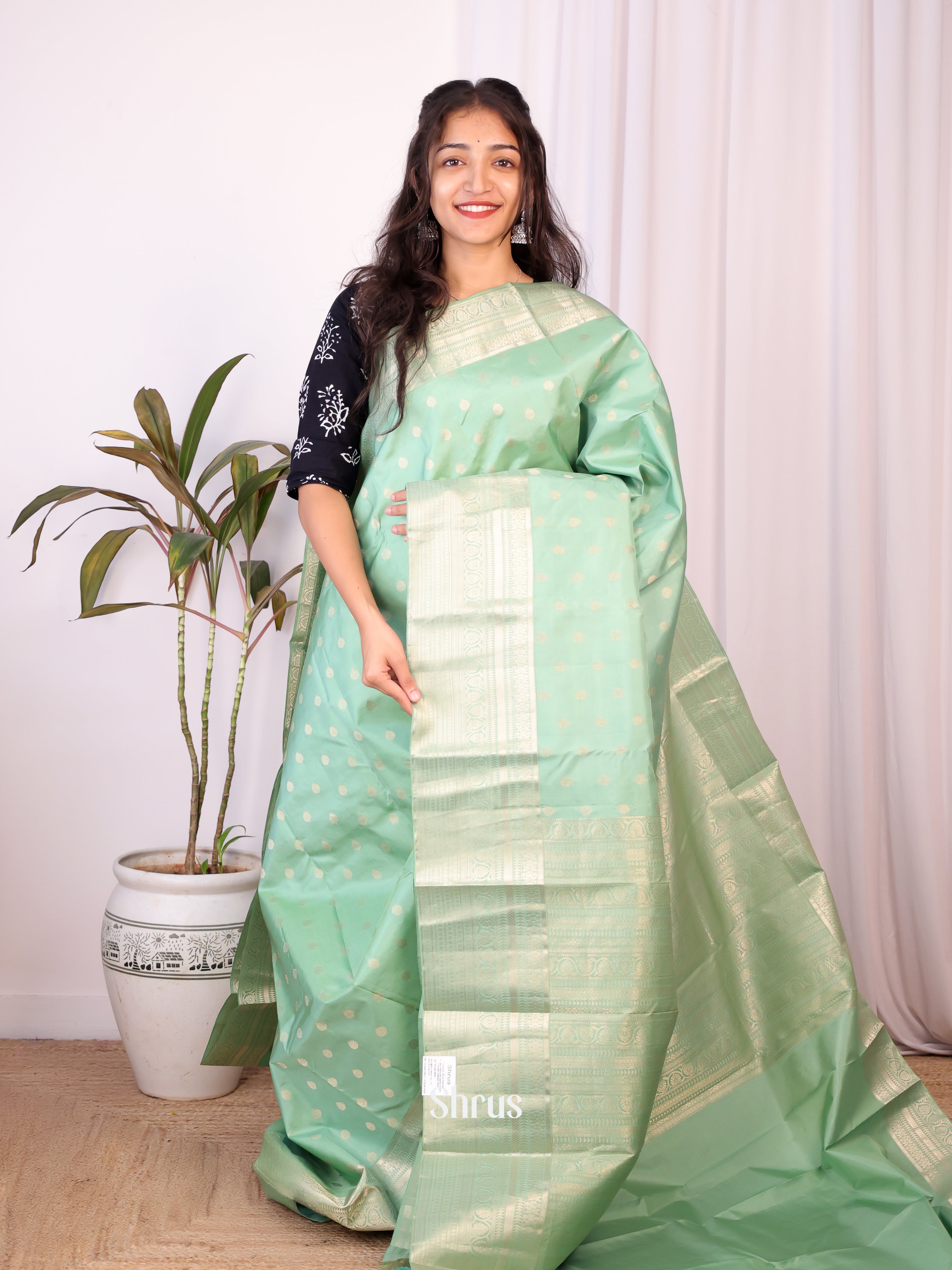 Pastel Green(Single Tone) - Kanchipuram silk Saree - Shop on Shrus.com