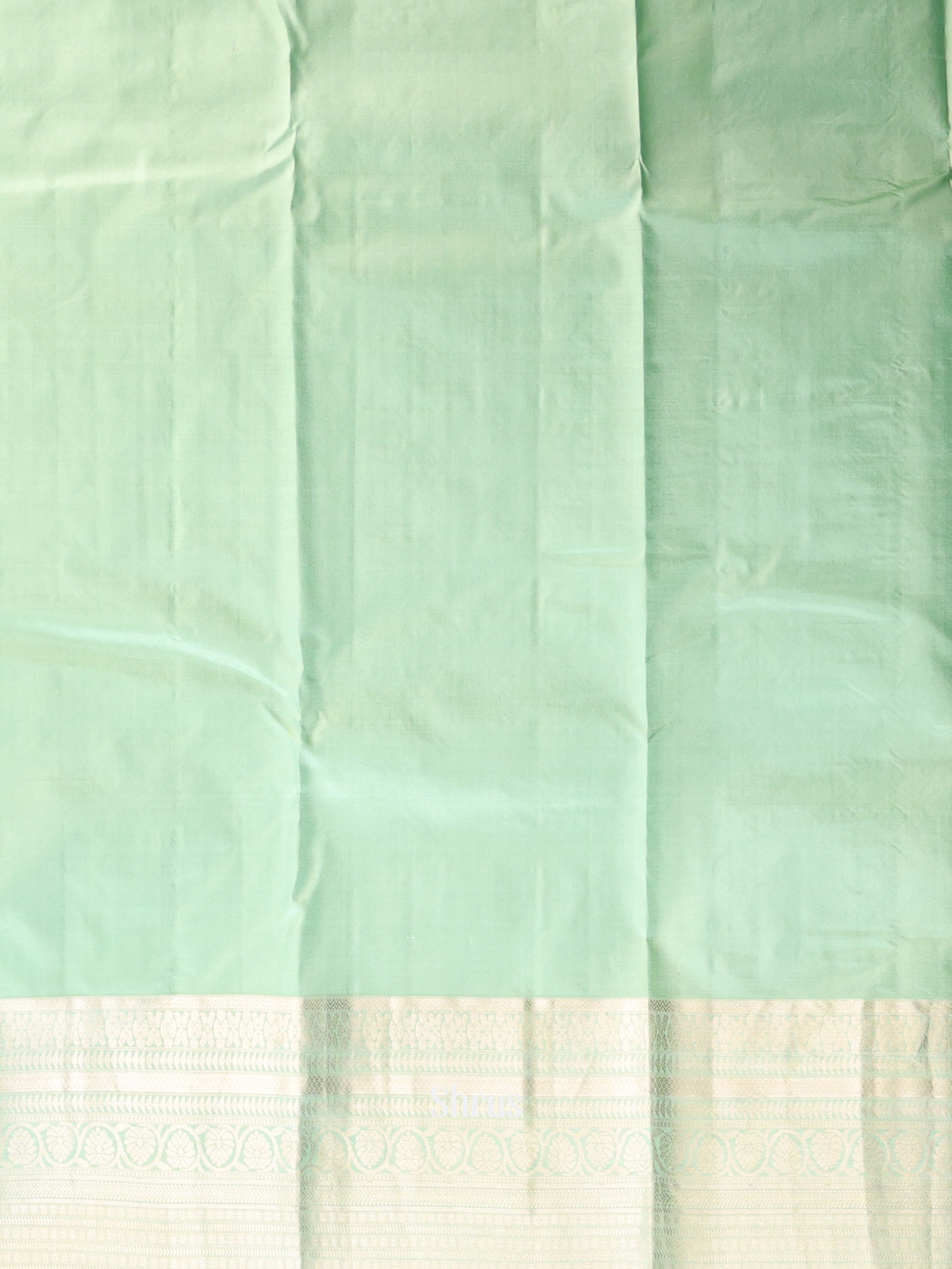 Pastel Green(Single Tone) - Kanchipuram silk Saree - Shop on Shrus.com
