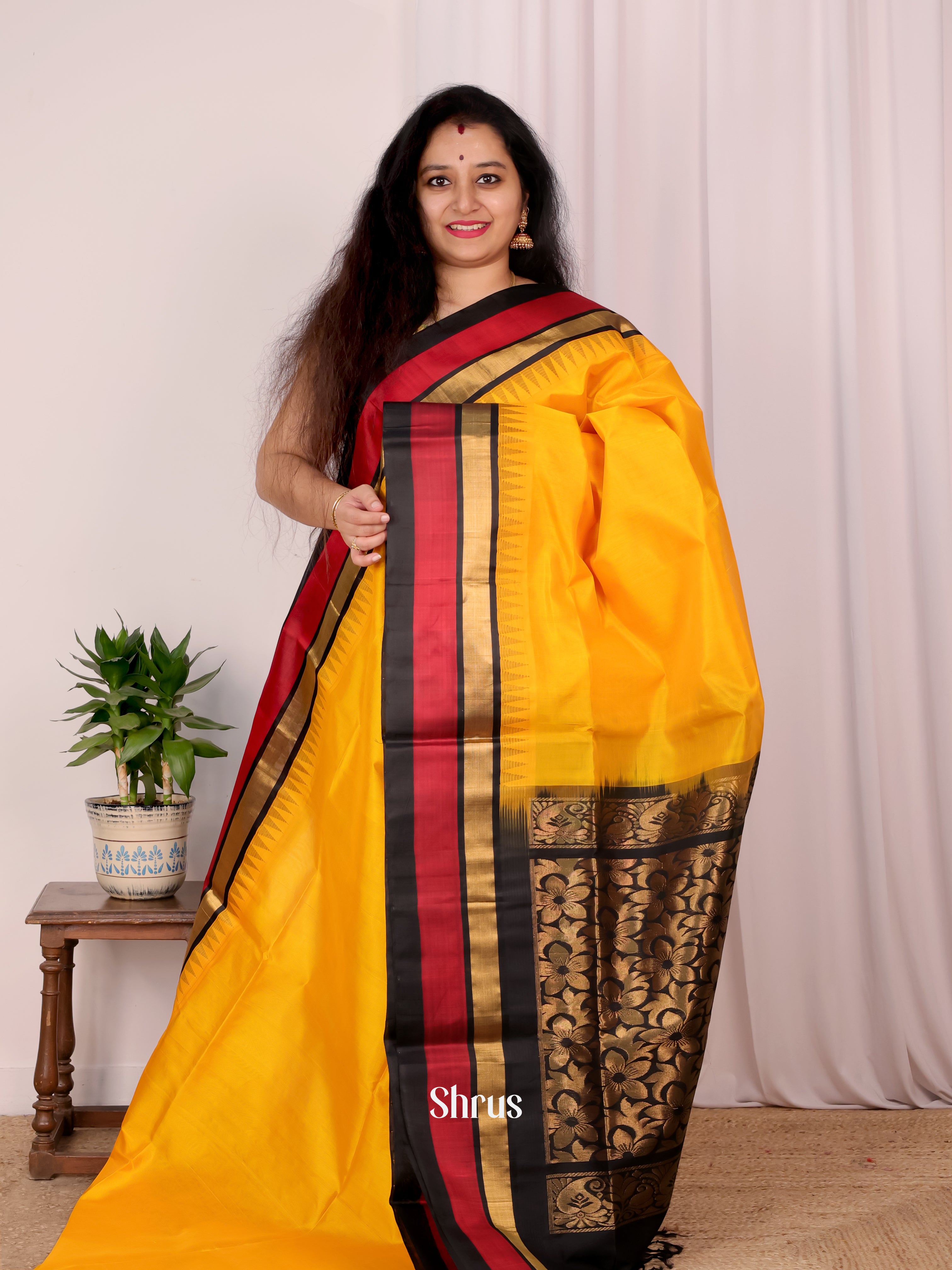 Mambazha Yellow & Black - Silk Cotton Saree - Shop on Shrus.com