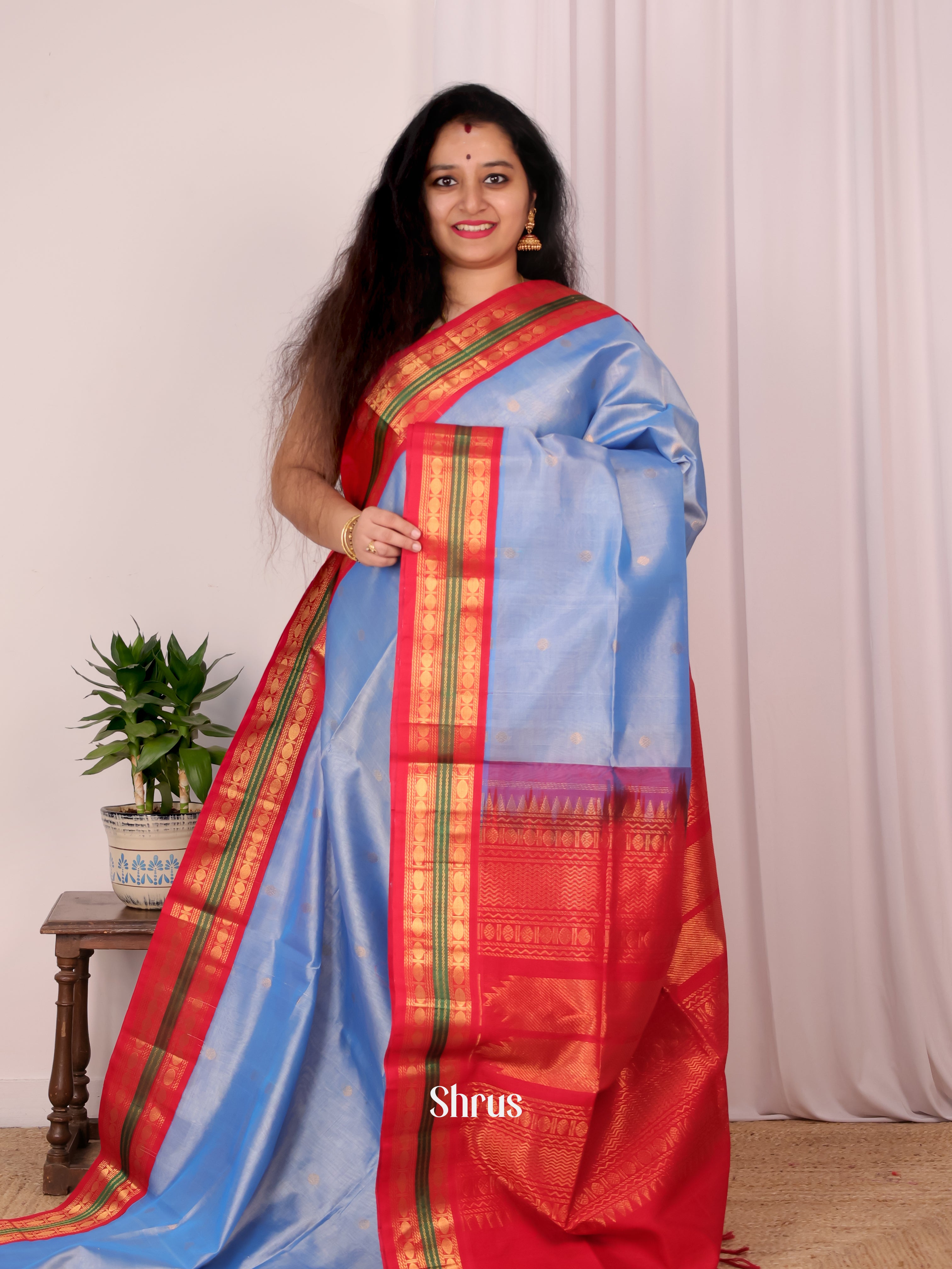 Blue & Red - Silk Cotton Saree - Shop on Shrus.com