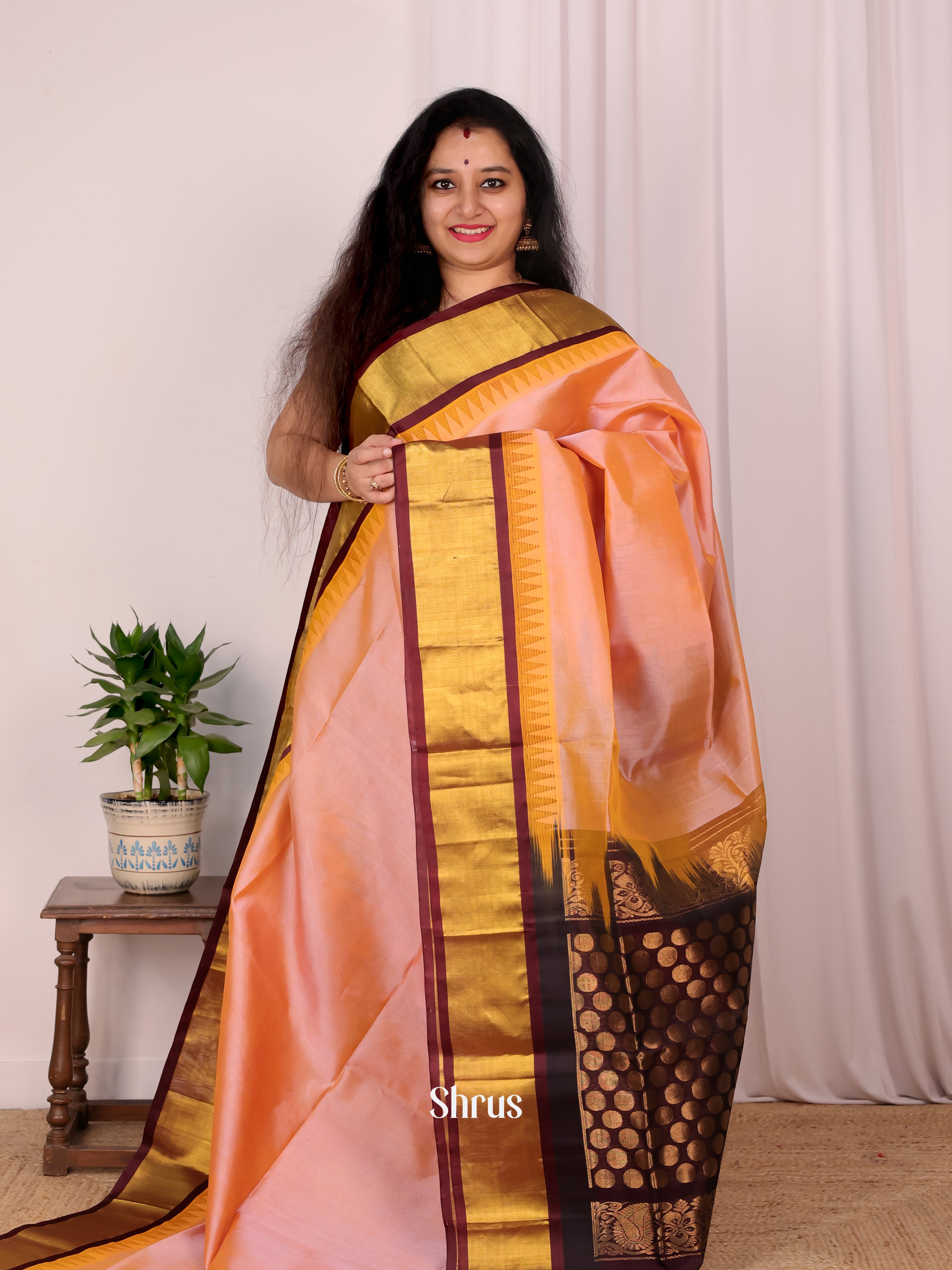 Peach & Brown - Silk Cotton Saree - Shop on Shrus.com