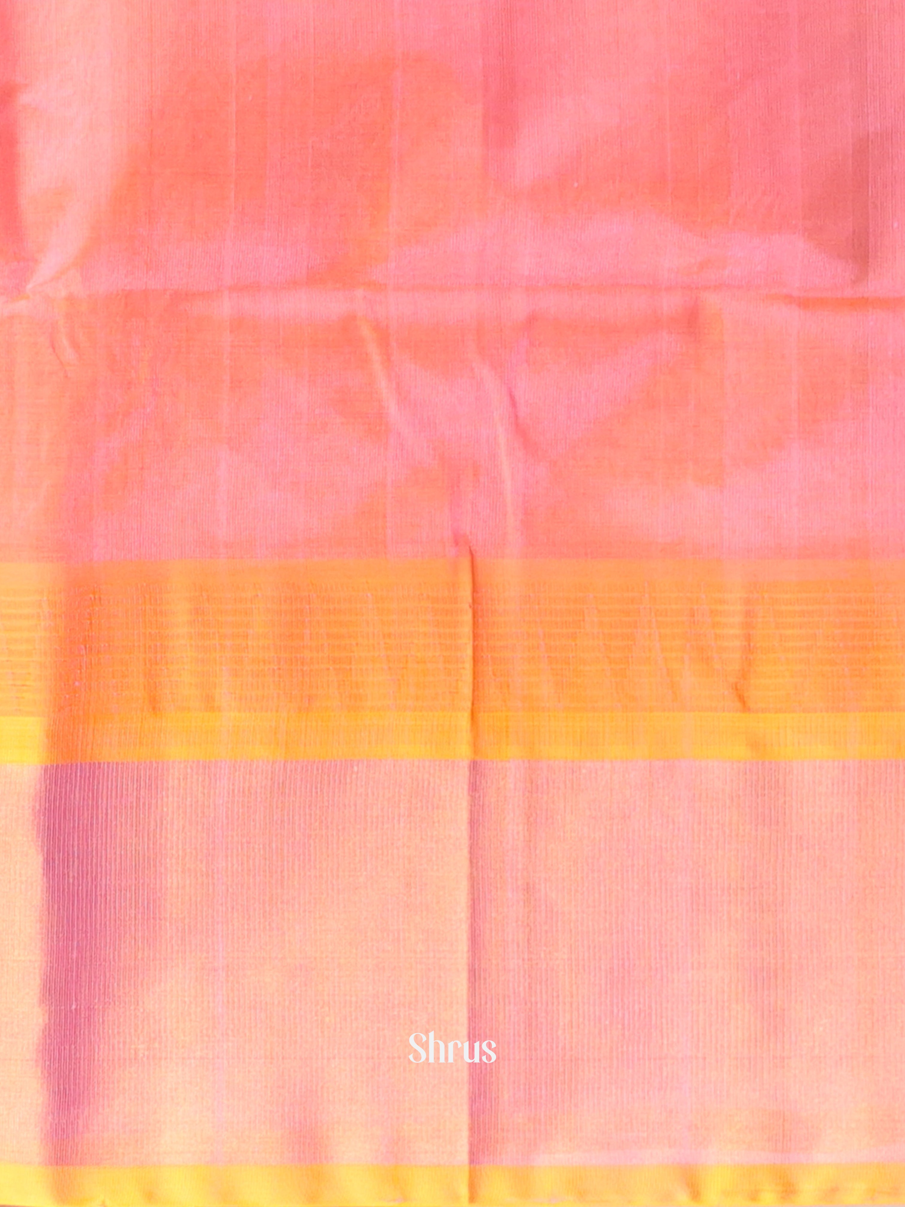 Blue & Pink - Silk Cotton Saree - Shop on Shrus.com