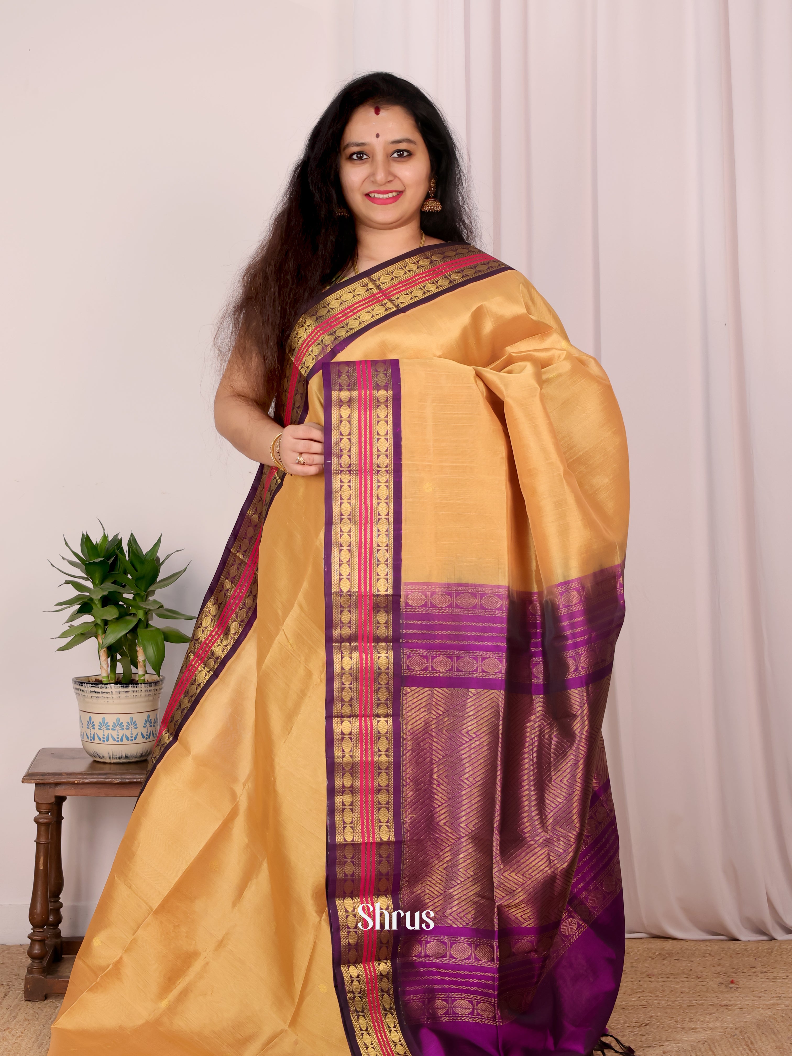 Gold & Violet - Silk Cotton Saree - Shop on Shrus.com
