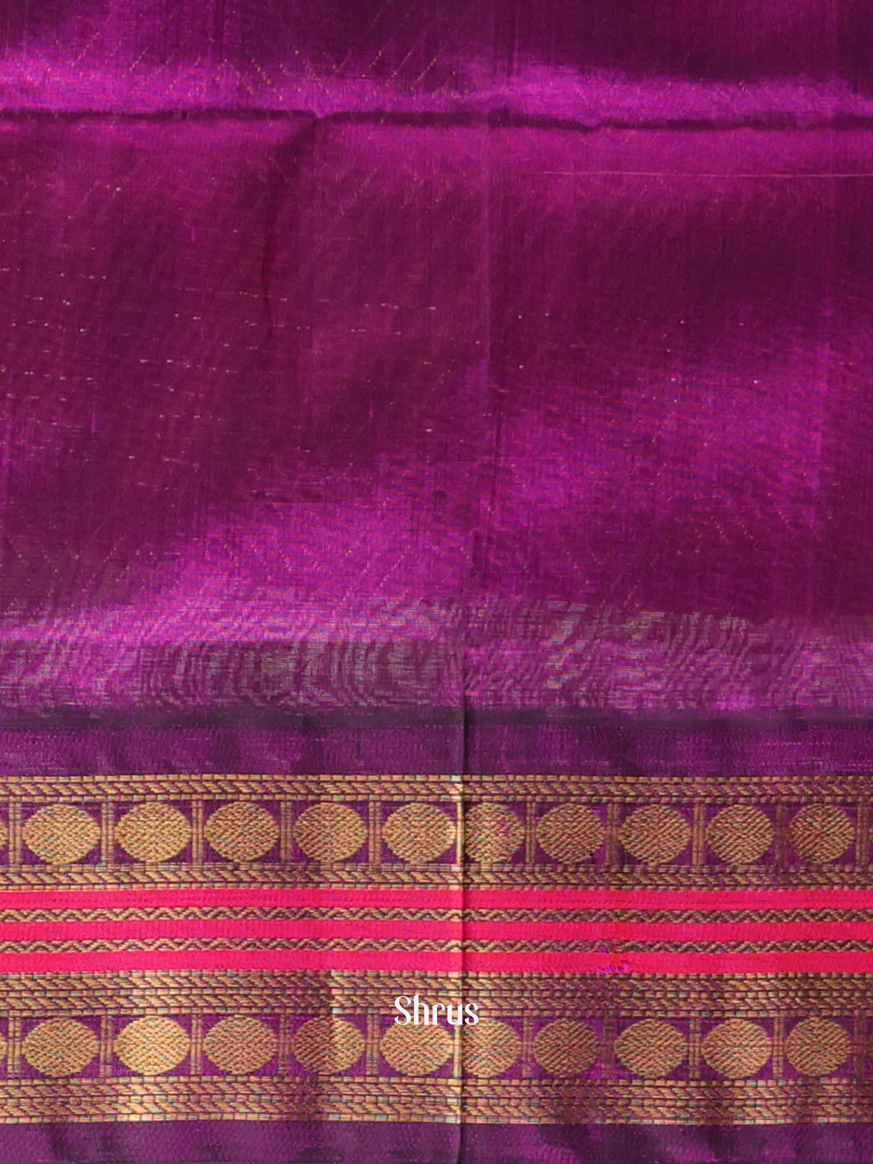 Gold & Violet - Silk Cotton Saree - Shop on Shrus.com