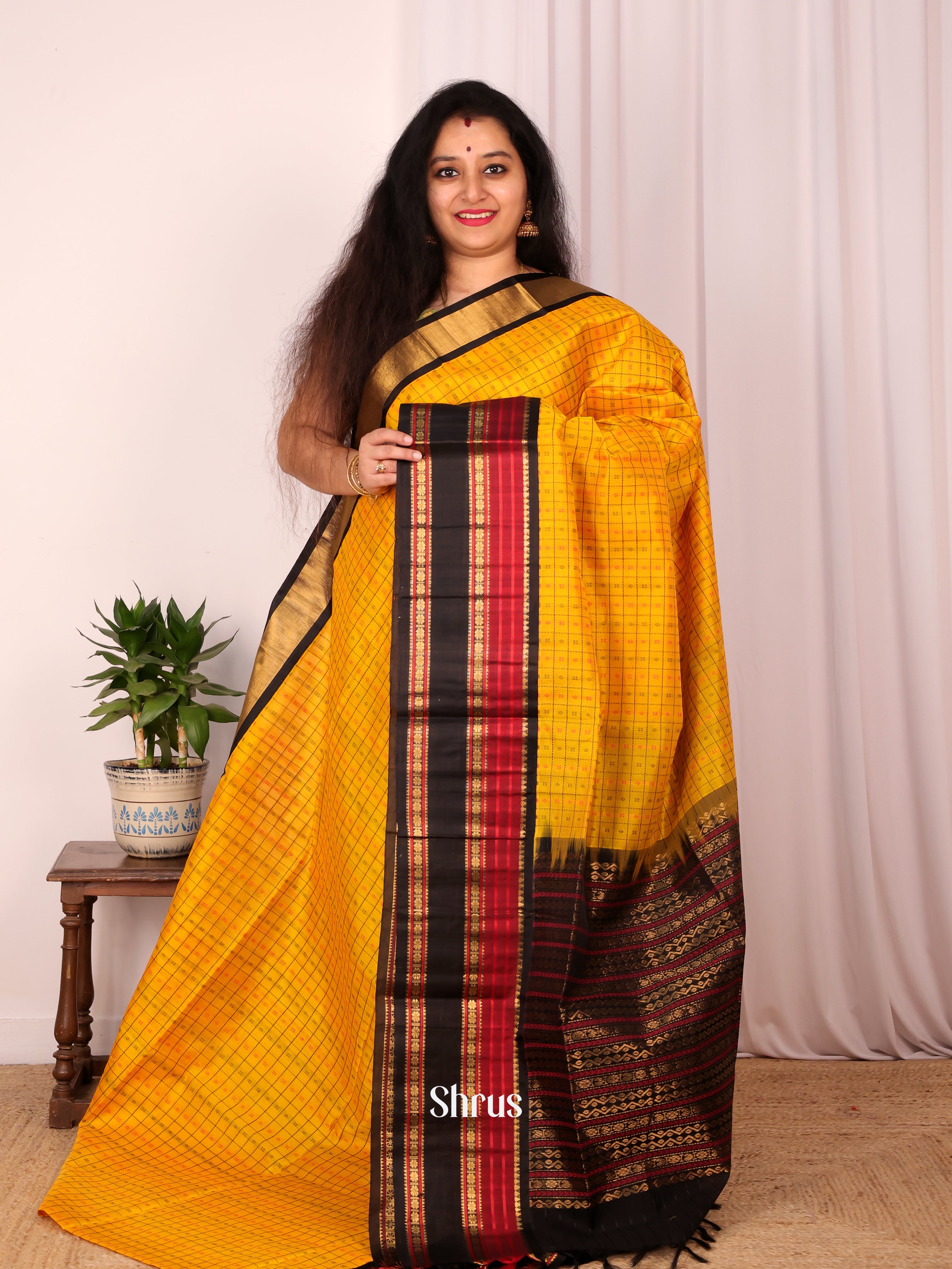 Mustard & Black - Silk Cotton Saree - Shop on Shrus.com