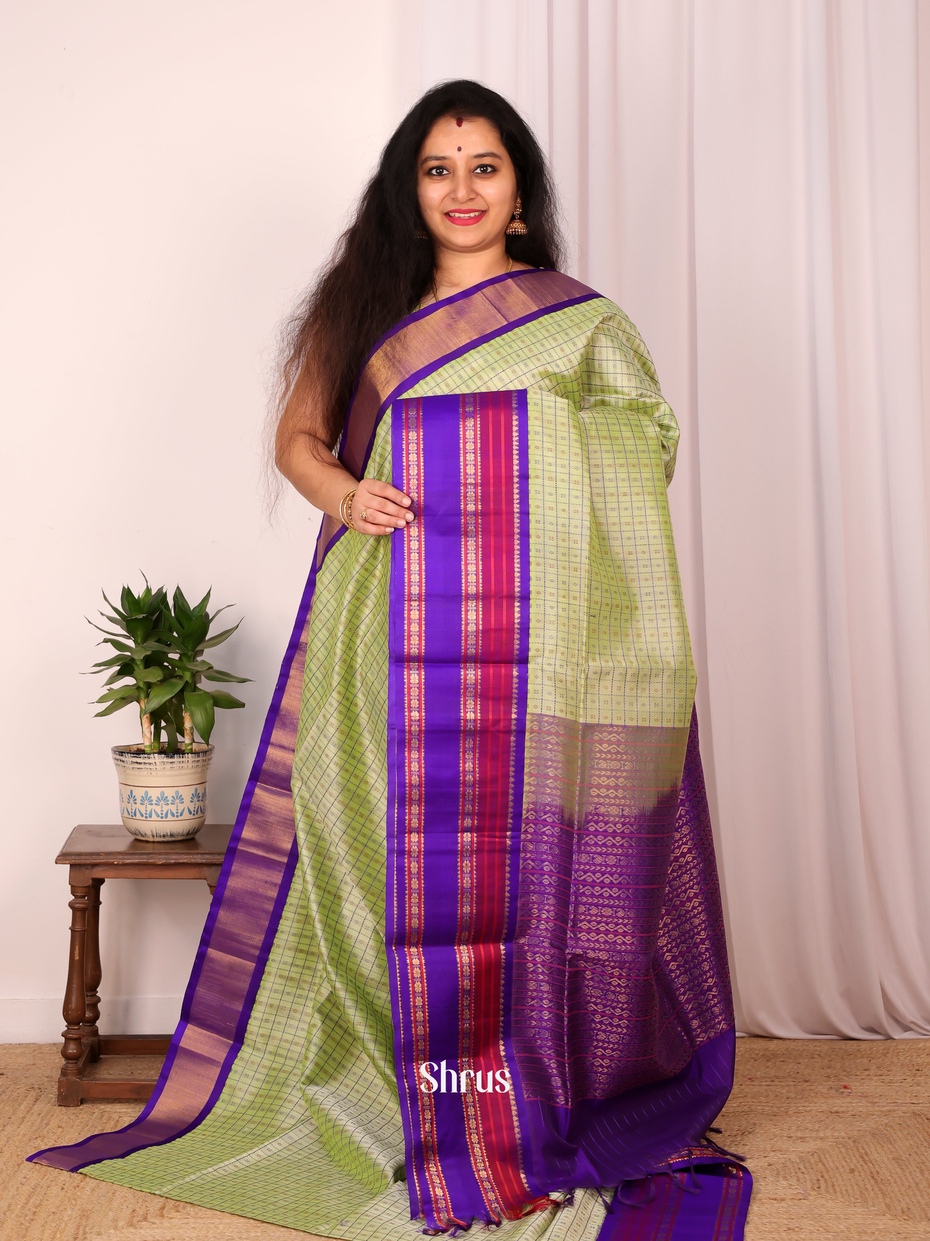 Pista Green & Violet - Silk Cotton Saree - Shop on Shrus.com