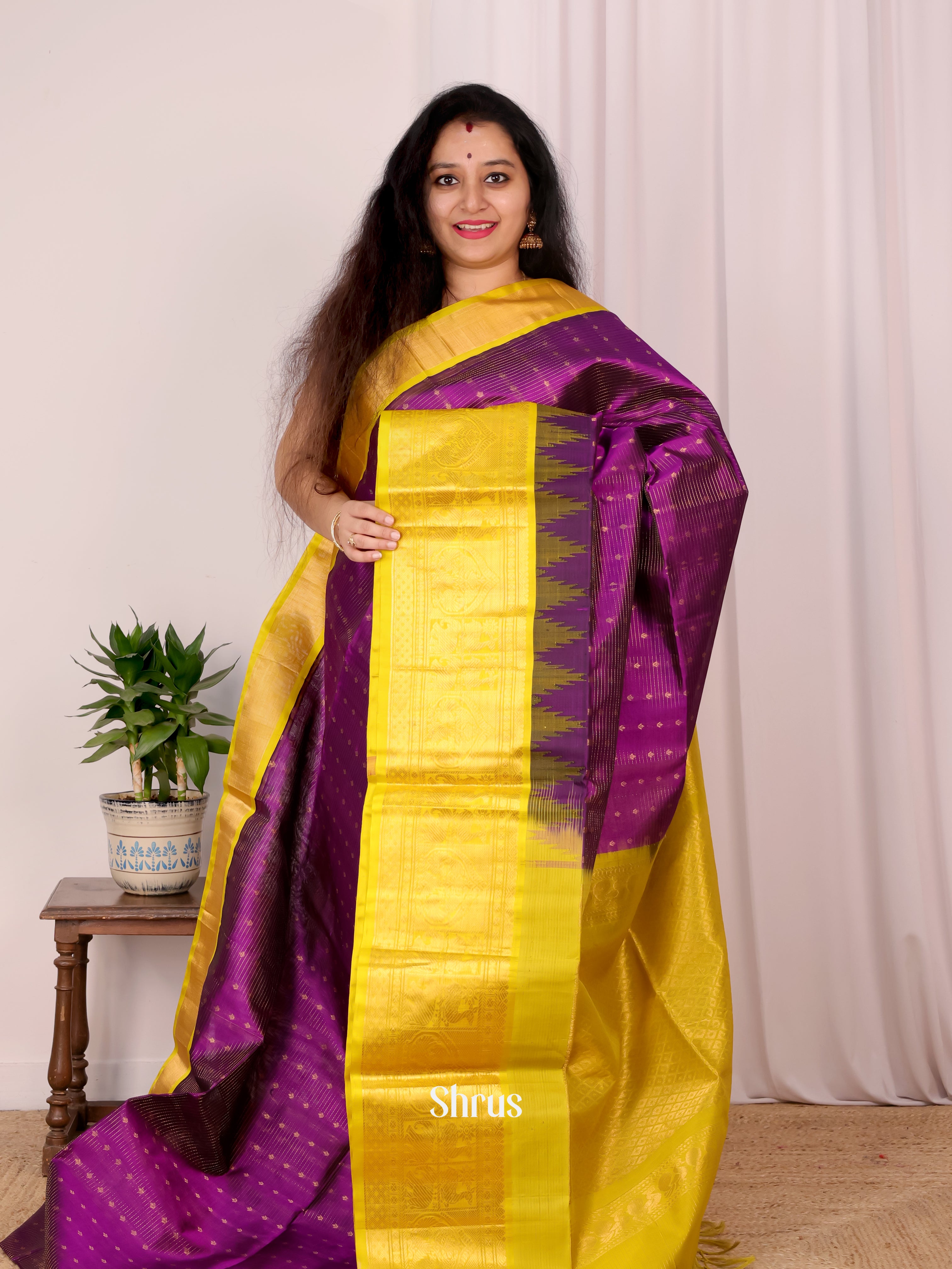 Violet & Mustard - Silk Cotton Saree - Shop on Shrus.com
