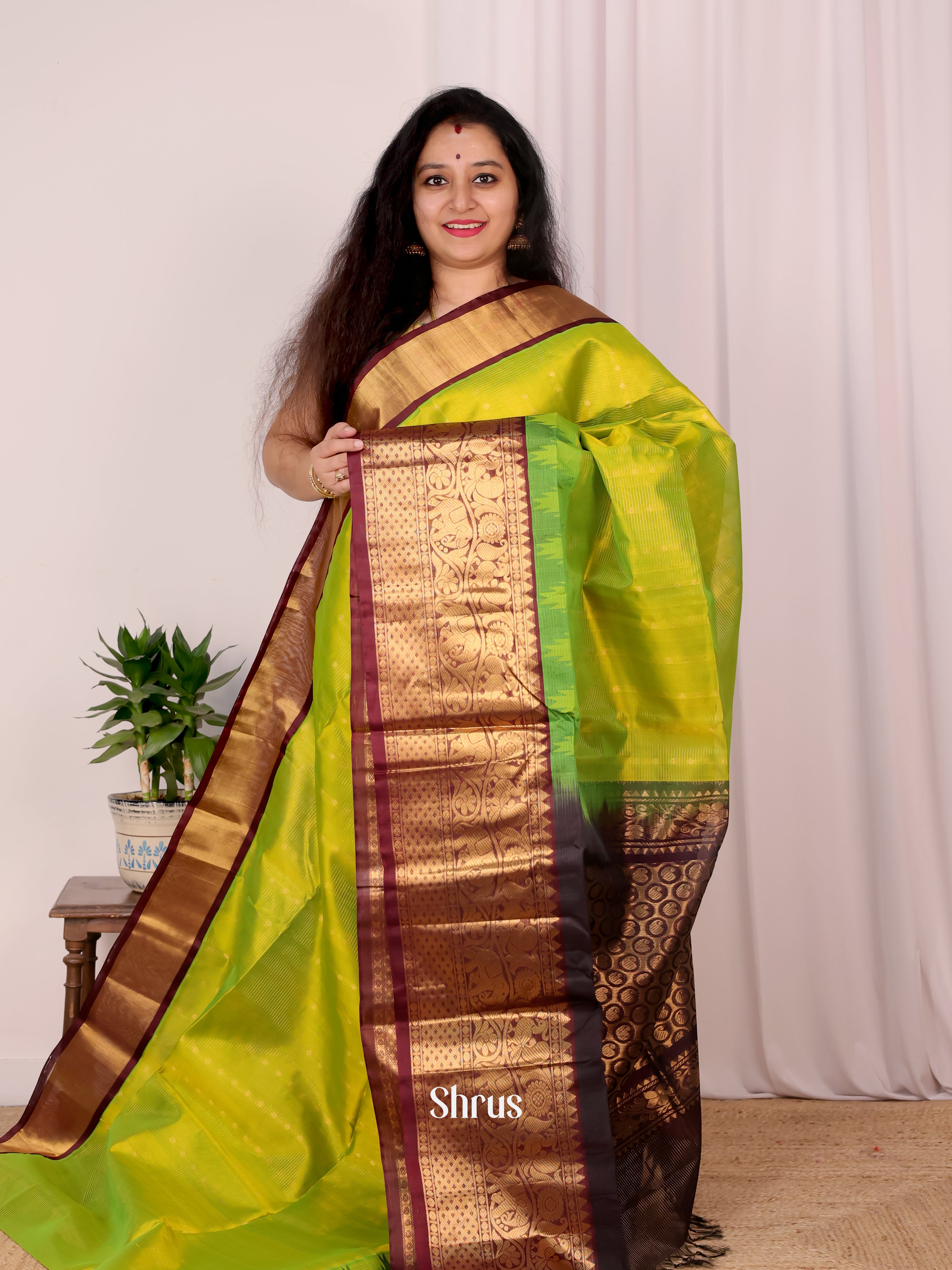 Green & Brown - Silk Cotton Saree - Shop on Shrus.com