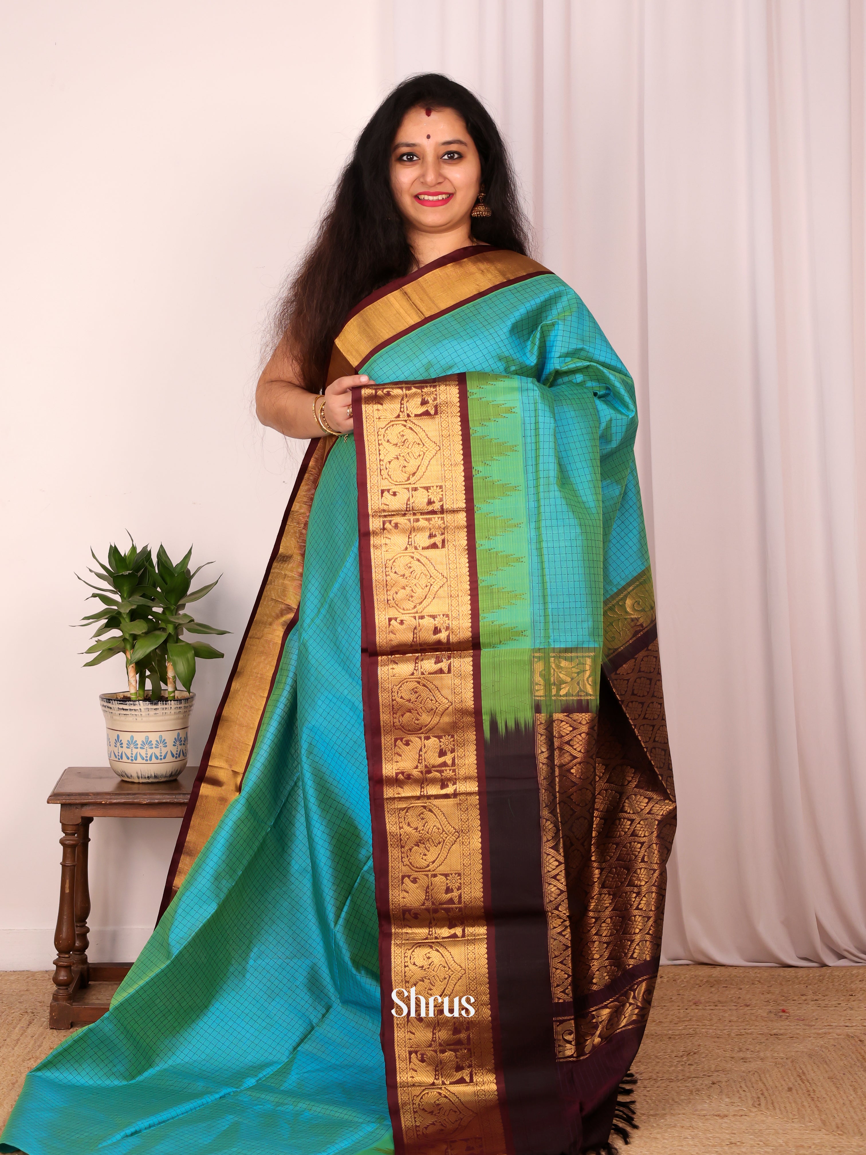 Teal & Brown - Silk Cotton Saree - Shop on Shrus.com
