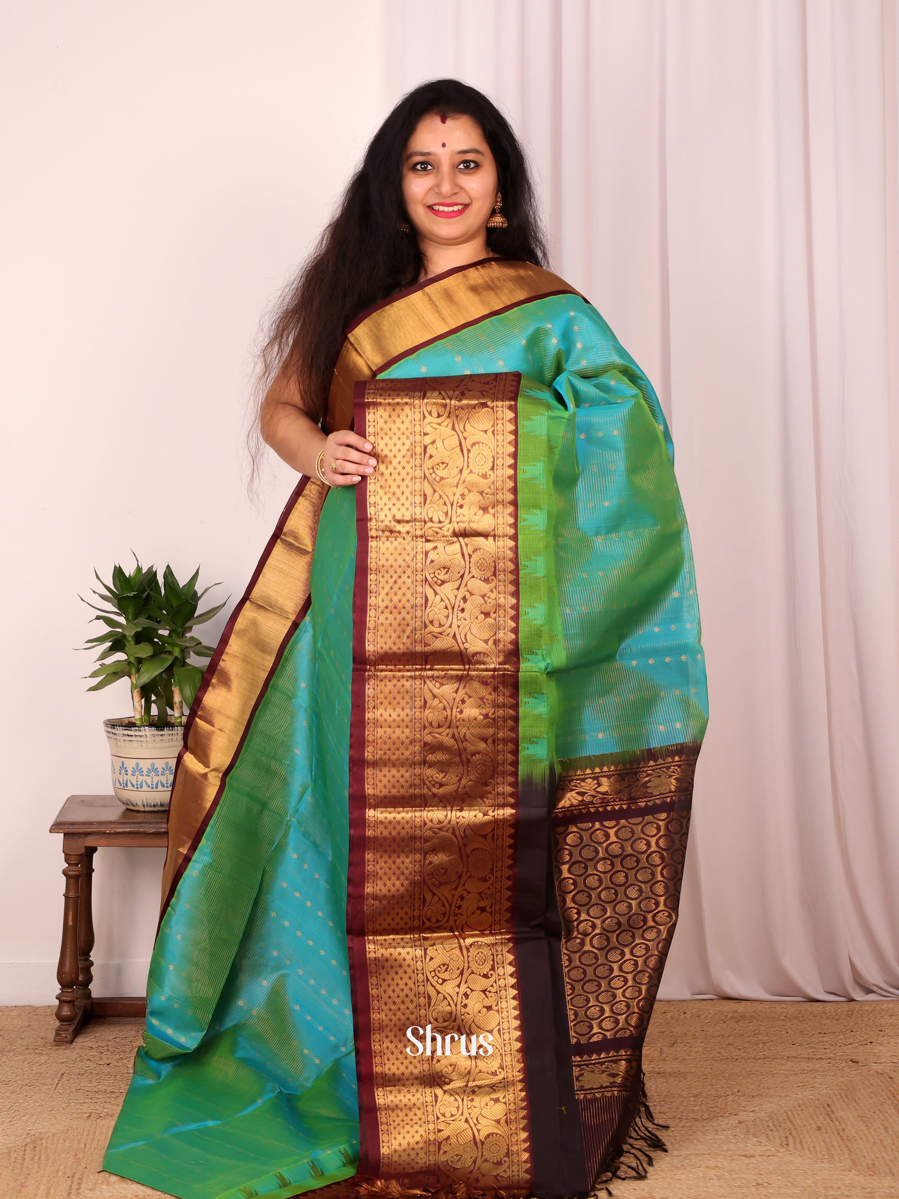 Green & Brown - Silk Cotton Saree - Shop on Shrus.com