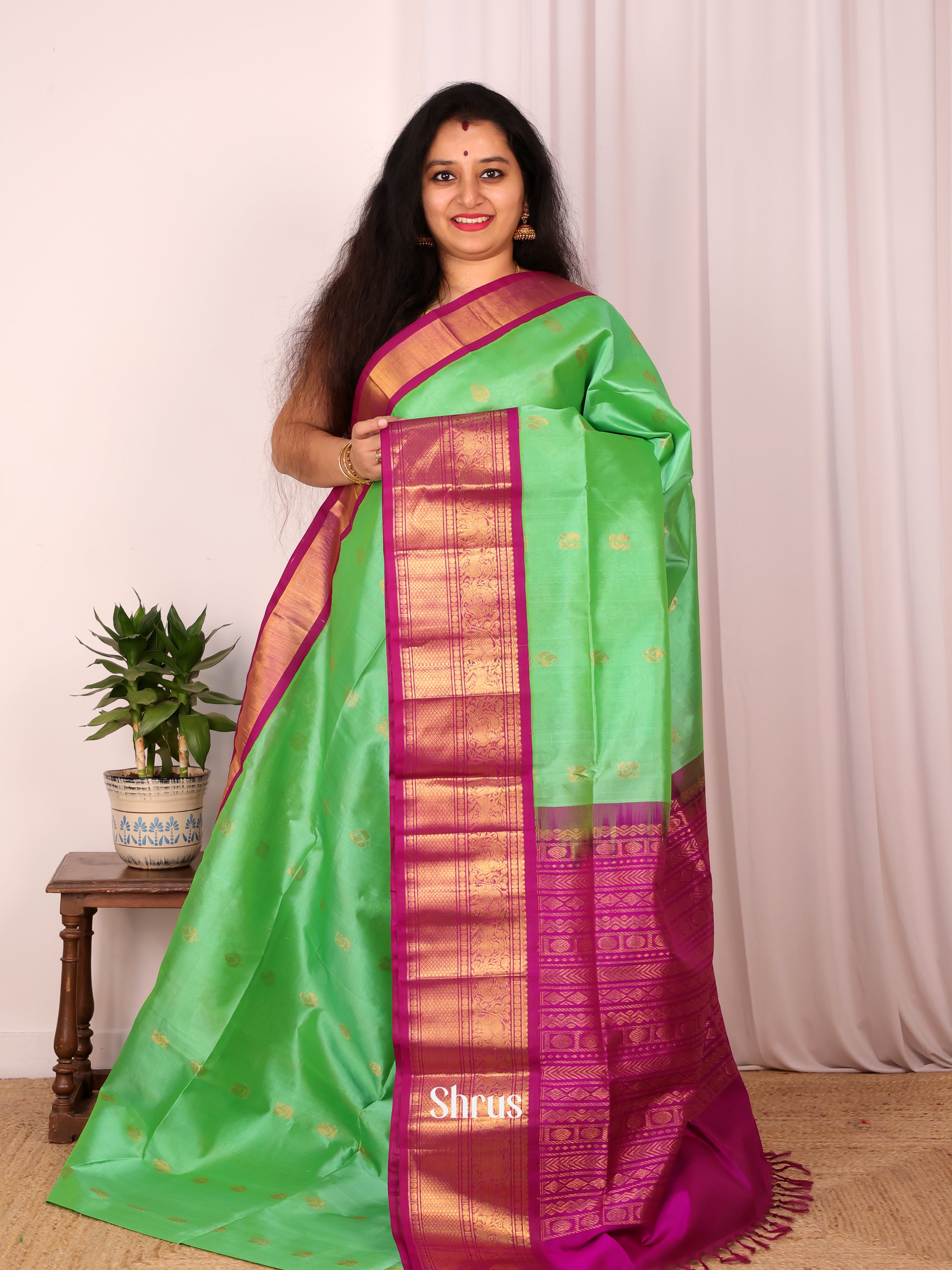 Pista Green & Majenta - Silk Cotton Saree - Shop on Shrus.com