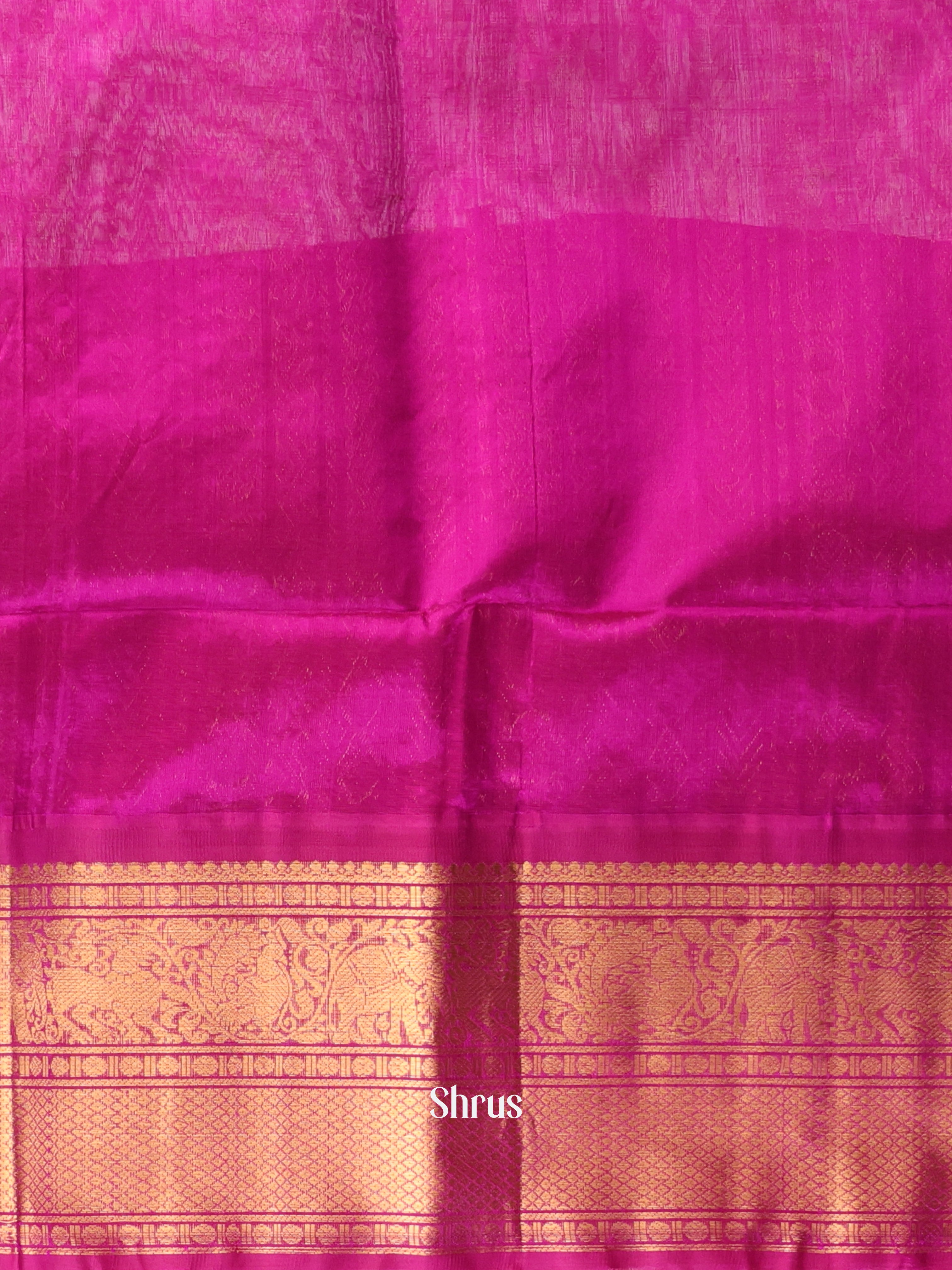 Pista Green & Majenta - Silk Cotton Saree - Shop on Shrus.com